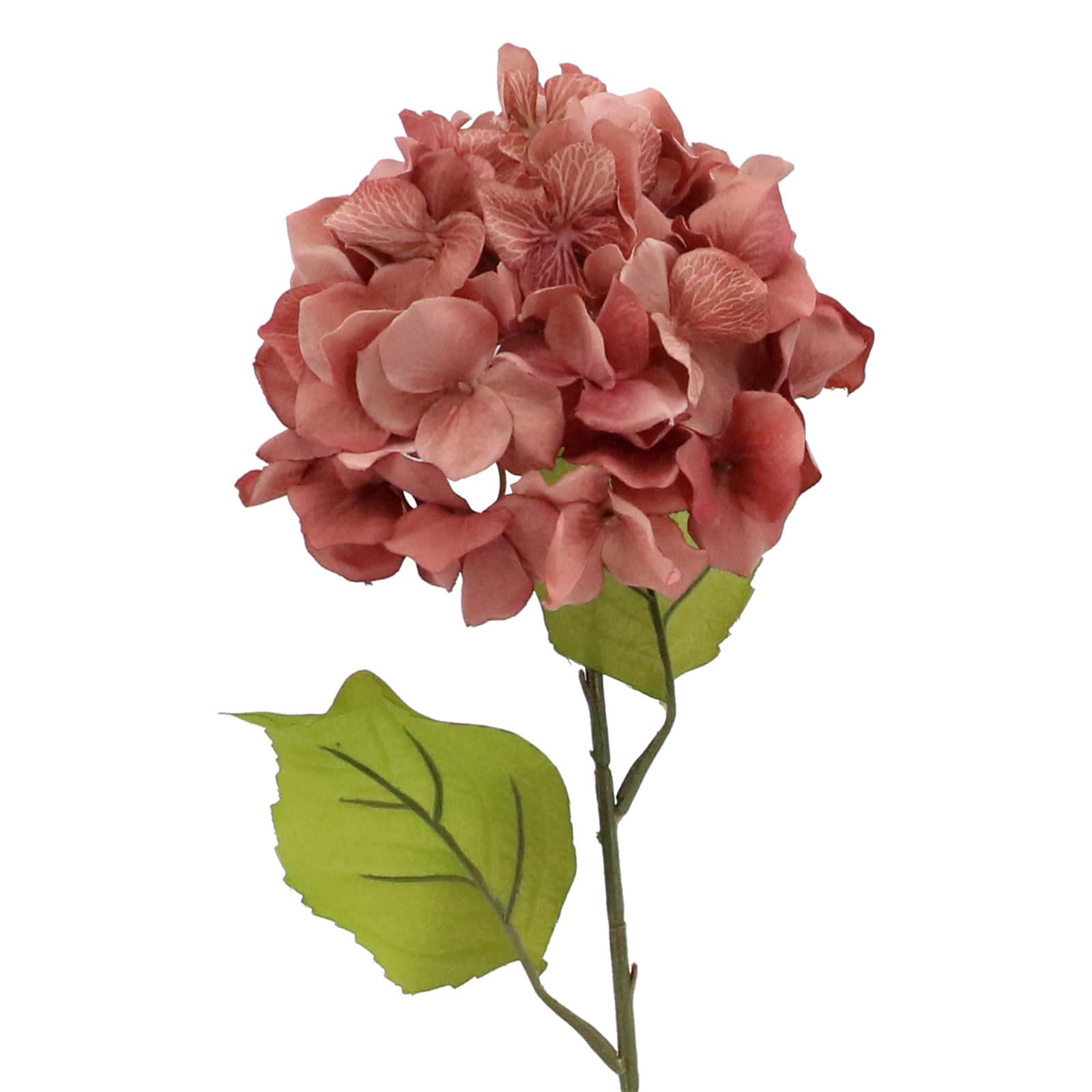 12 Pack: 28" Blush Hydrangea Stem by Ashland®
