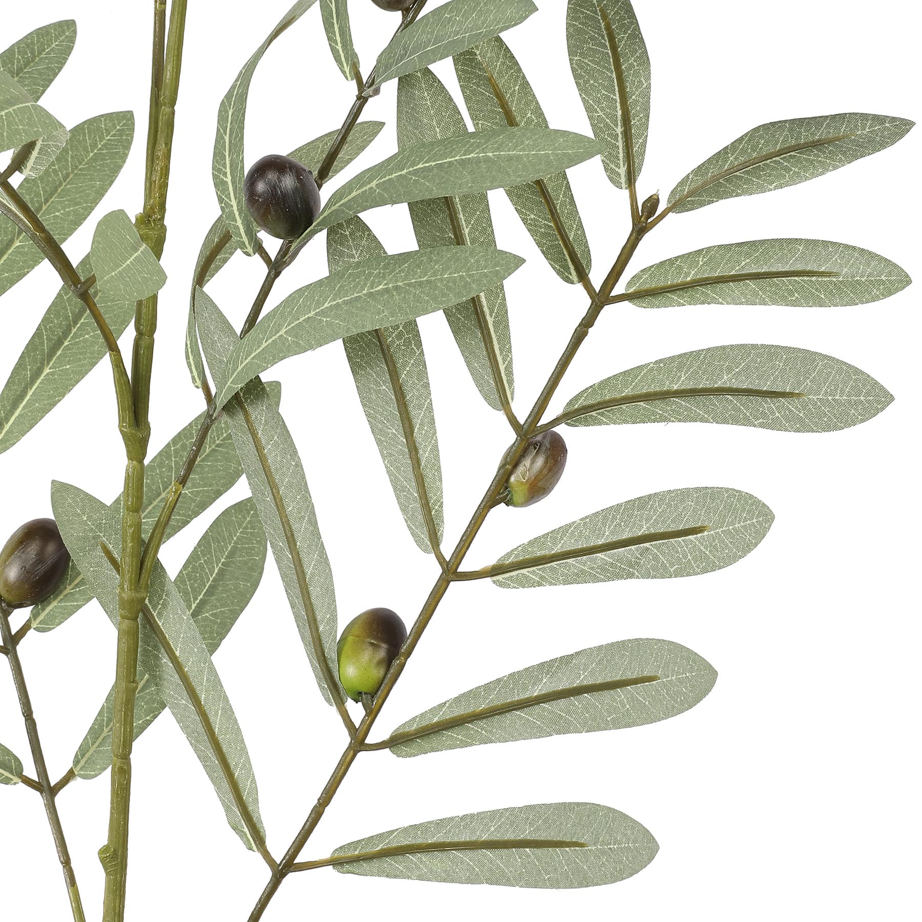 36" Olive Berry Branch by Ashland®