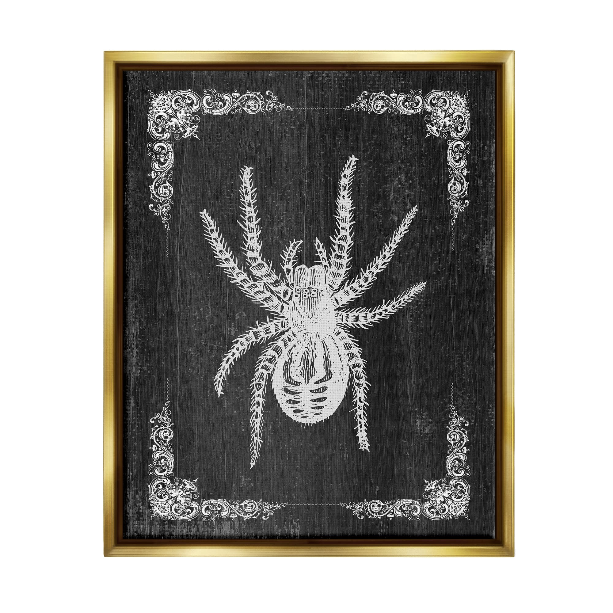 Stupell Industries Black & White Spider Framed Floater Canvas Wall Art