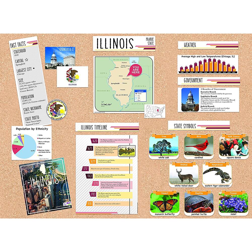 Eureka® The State of Illinois Bulletin Board Set State Sets Michaels