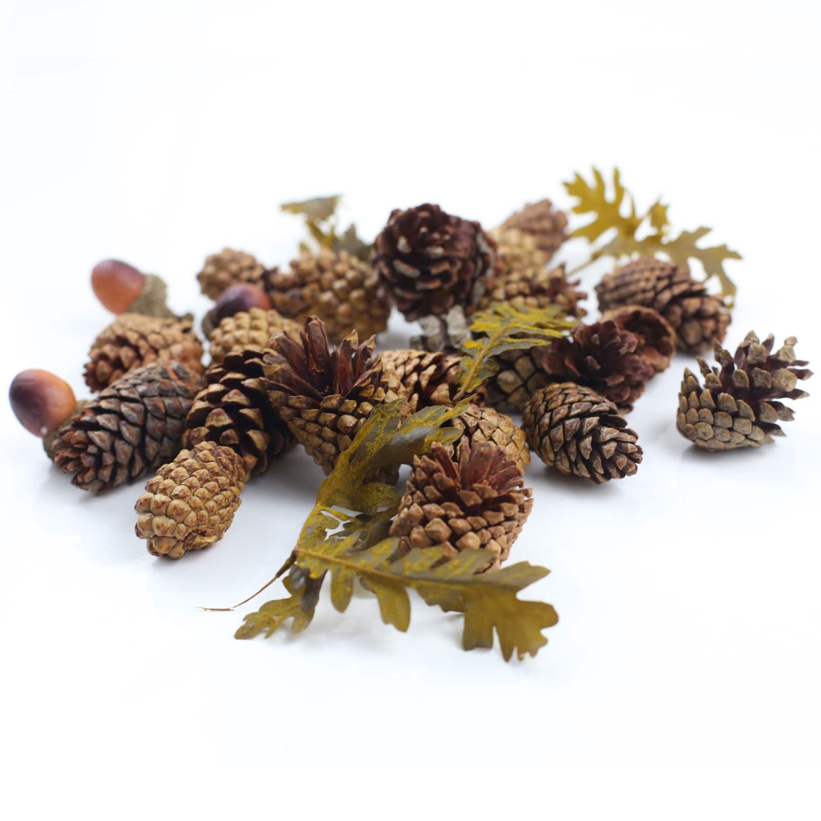 Pecan Caramel Scented Pinecone &#x26; Acorn Filler by Ashland&#xAE;