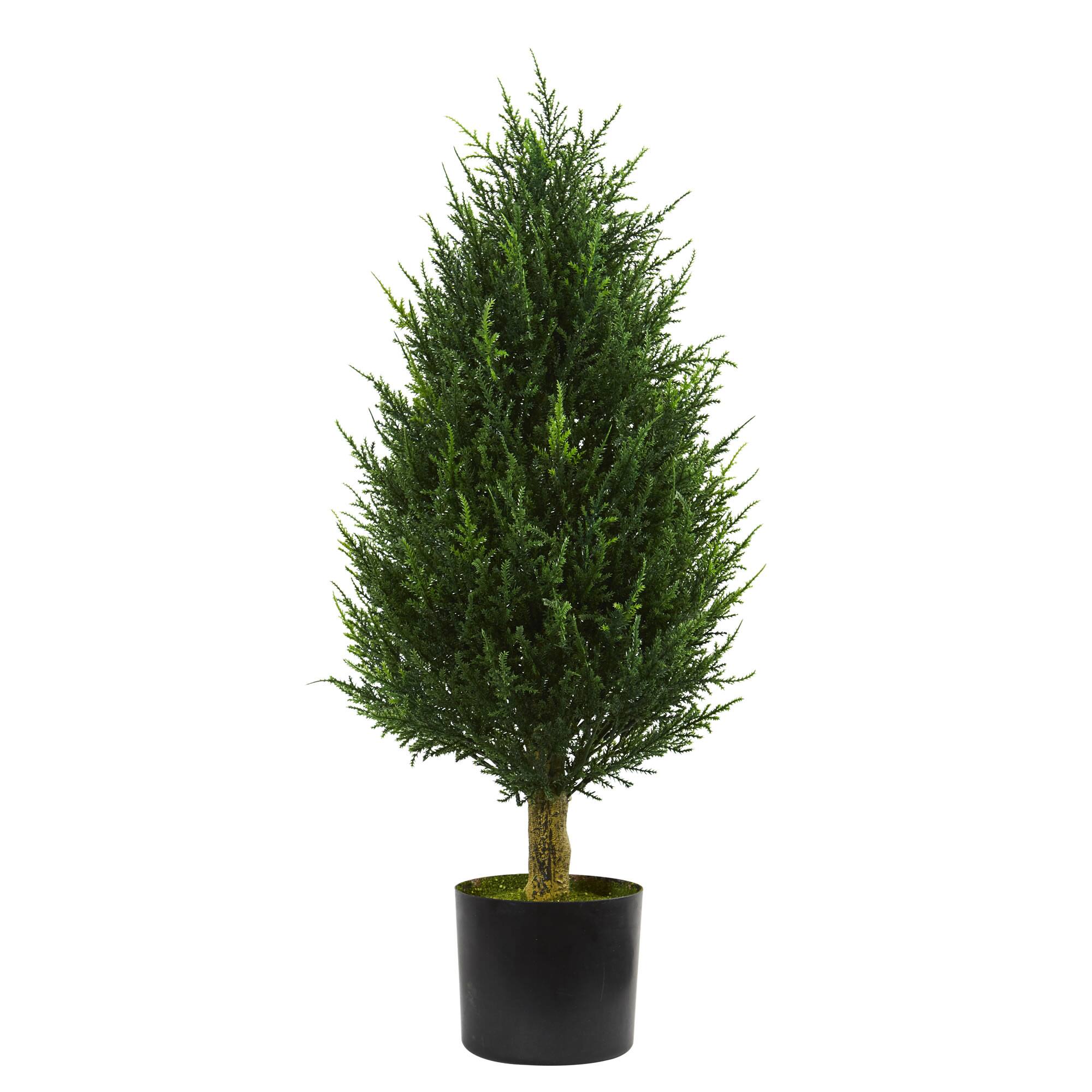 3ft. Potted Cypress Tower Tree | Trees & Floor Plants | Michaels