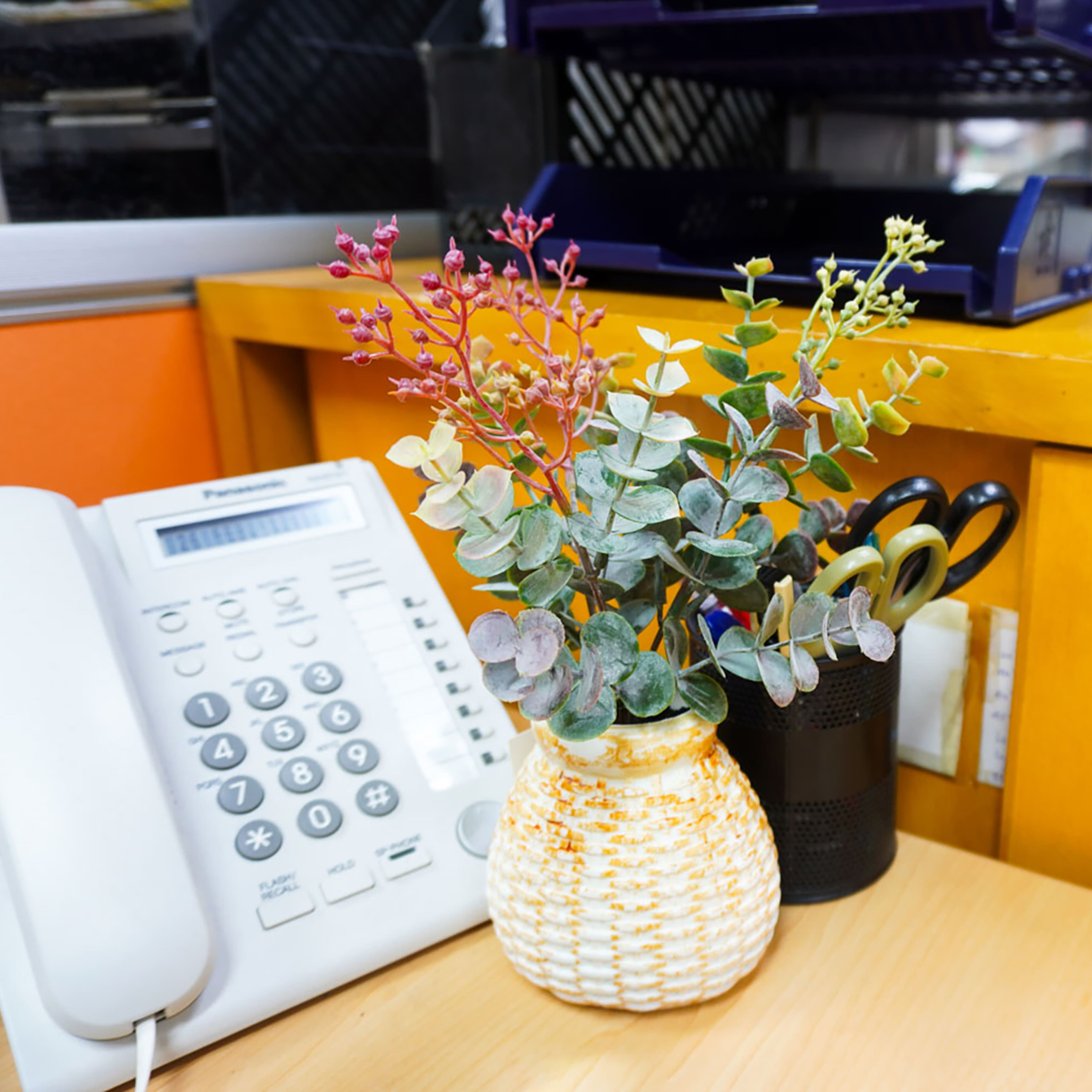 12 Pack: Green Seeded Eucalyptus Pick by Ashland®