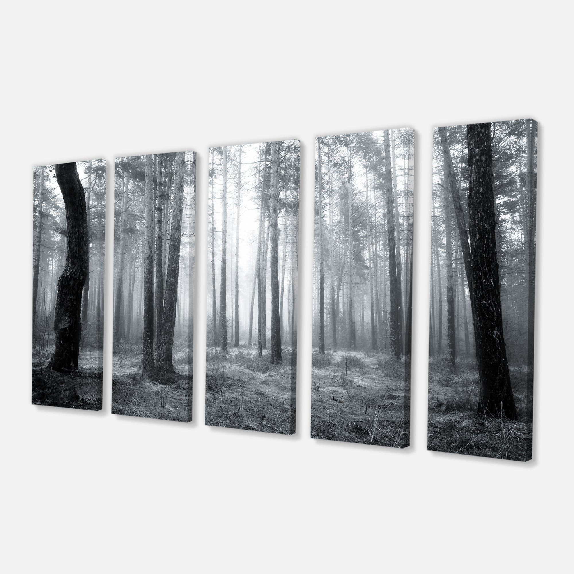 Designart - Black and White Foggy Forest - Forest Canvas Art Print