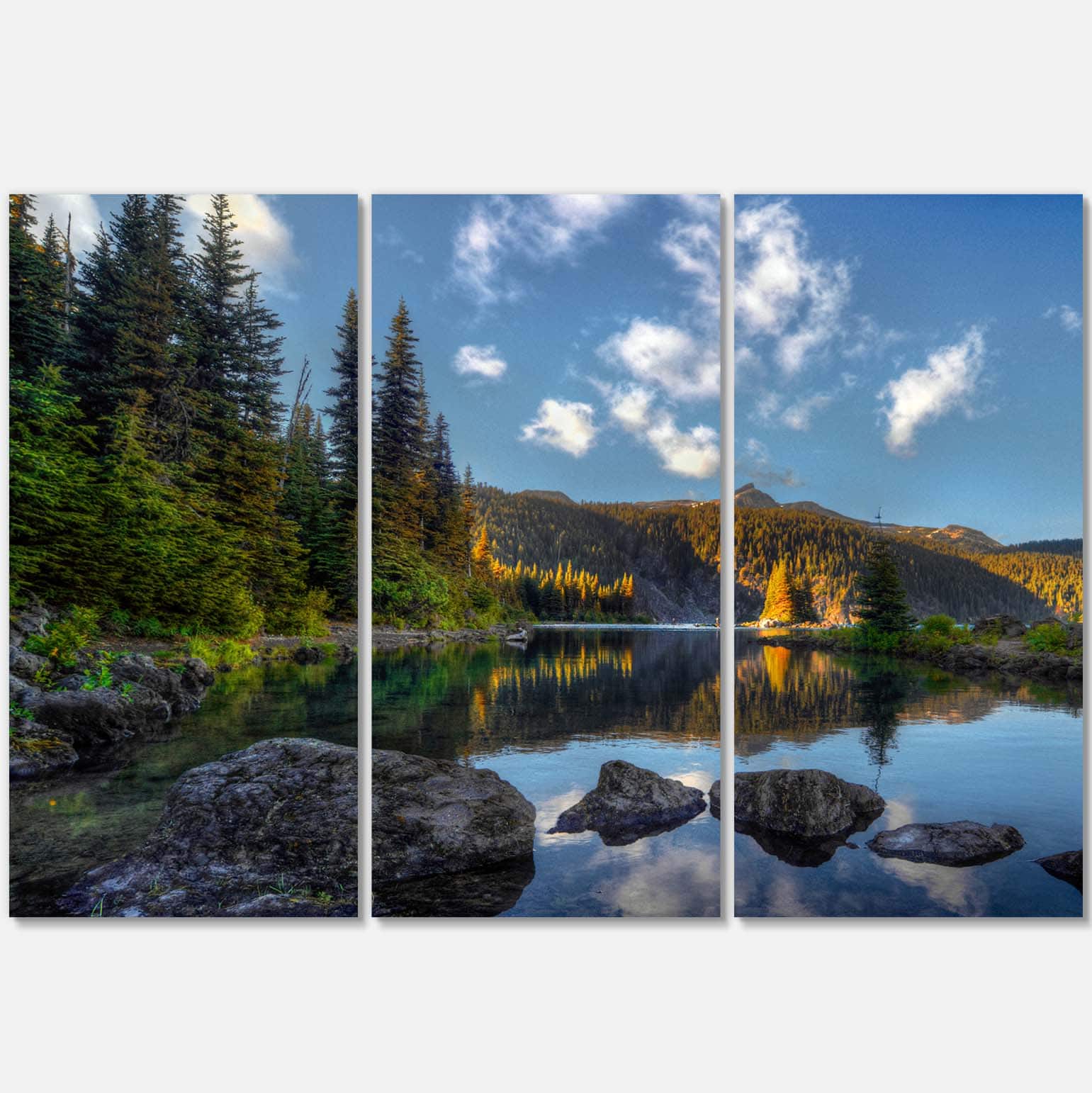 Designart - Mountain Lake Surrounded by Trees