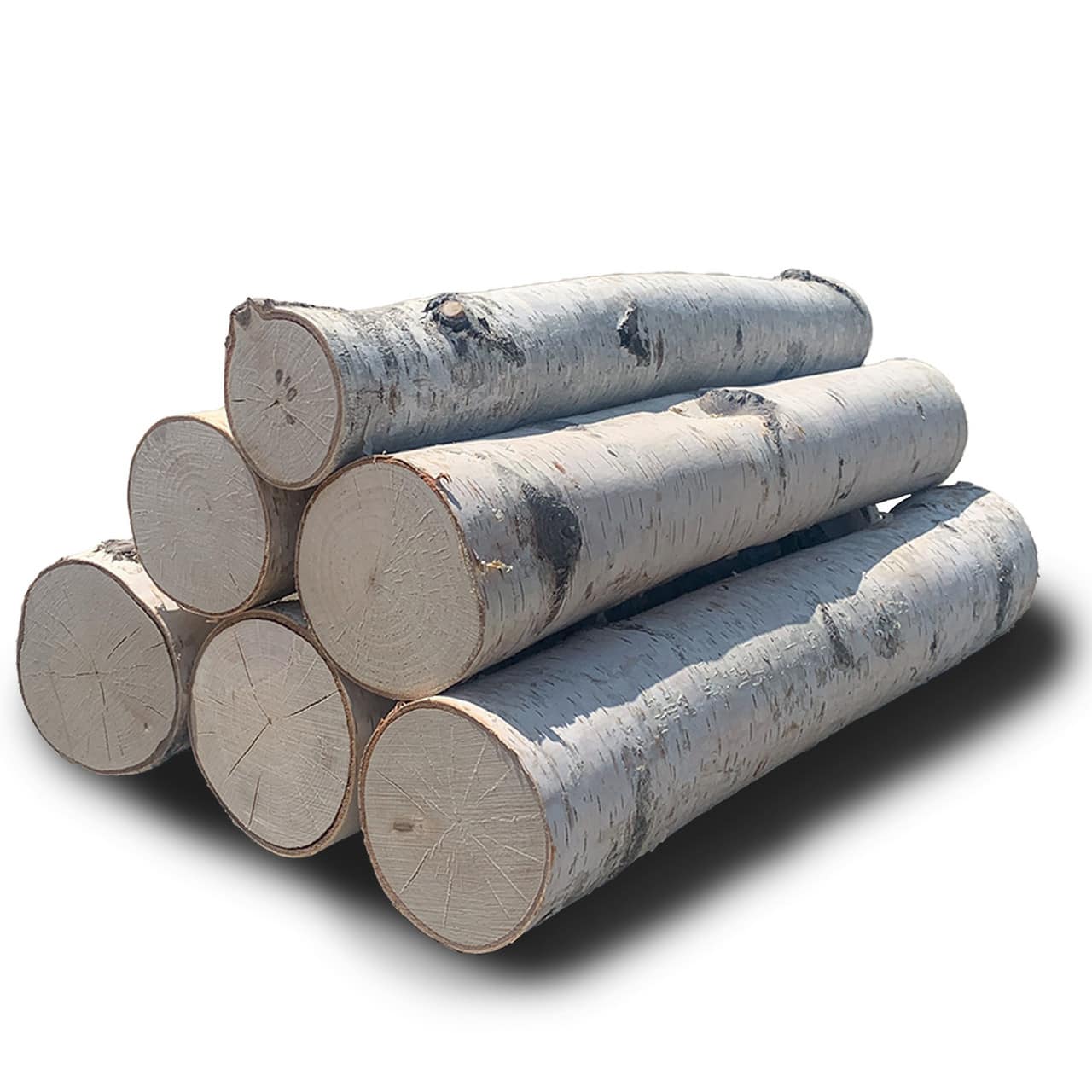 Wilson&#xAE; Enterprises 1.5&#x22; to 4&#x22; White Birch 6-Log Fireplace Set