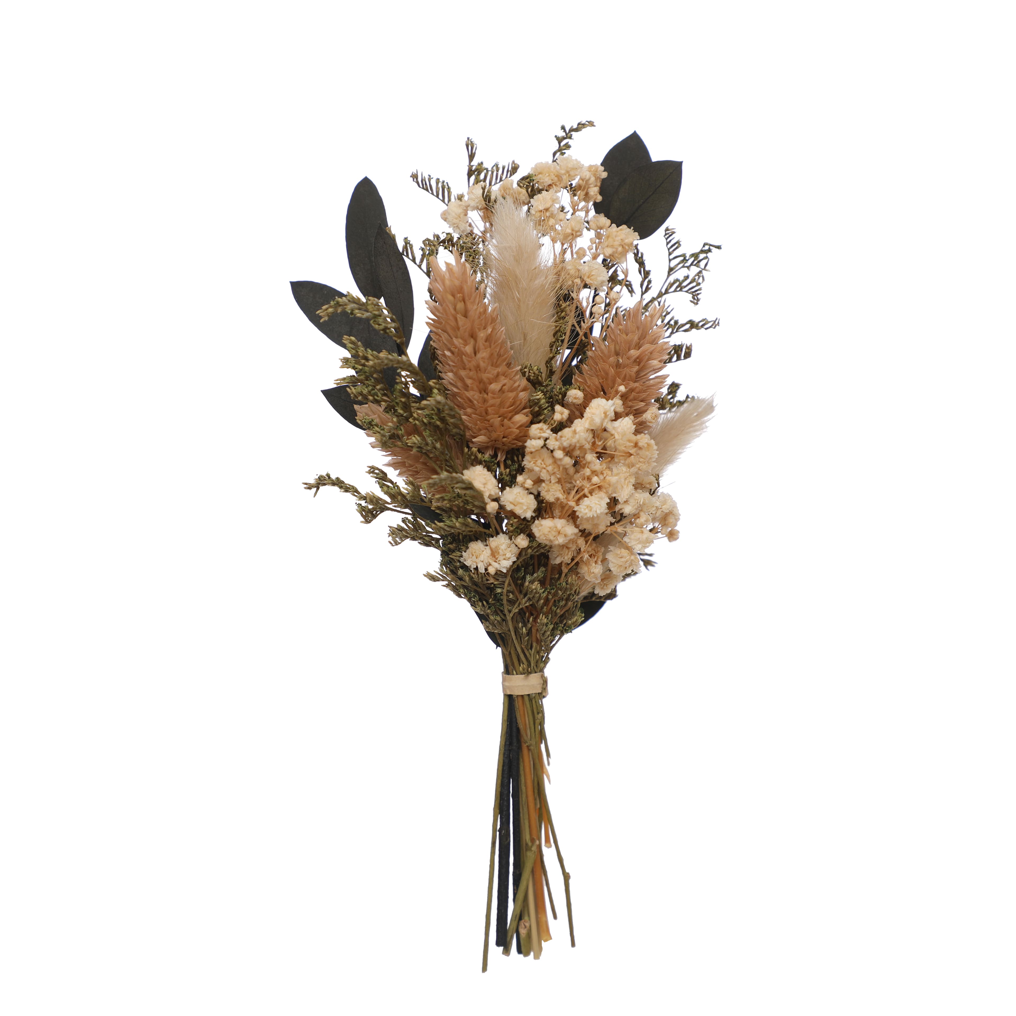 7&#x22; Dried Mixed Mini Bundle by Ashland&#xAE;