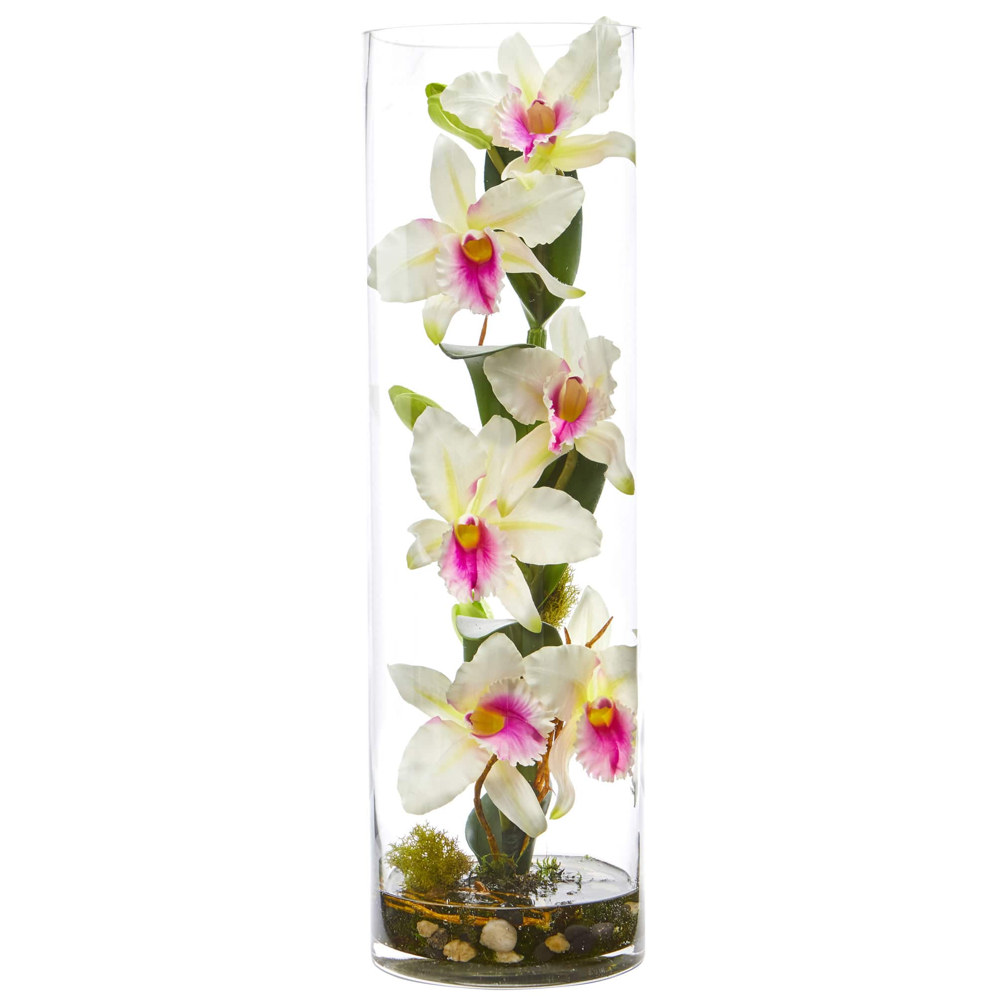 20 White Cattleya Orchid Arrangement In Cylinder Vase Michaels 4067