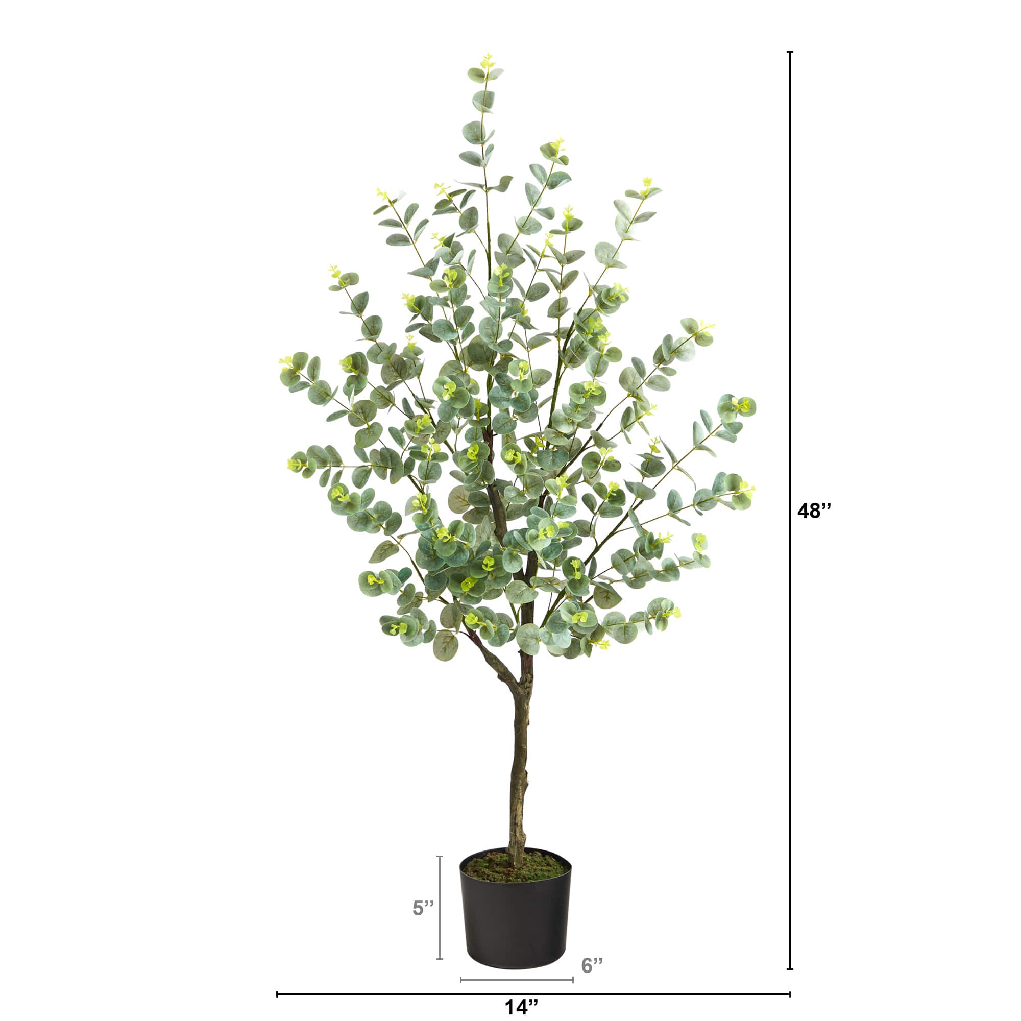 4ft. Potted Eucalyptus Tree