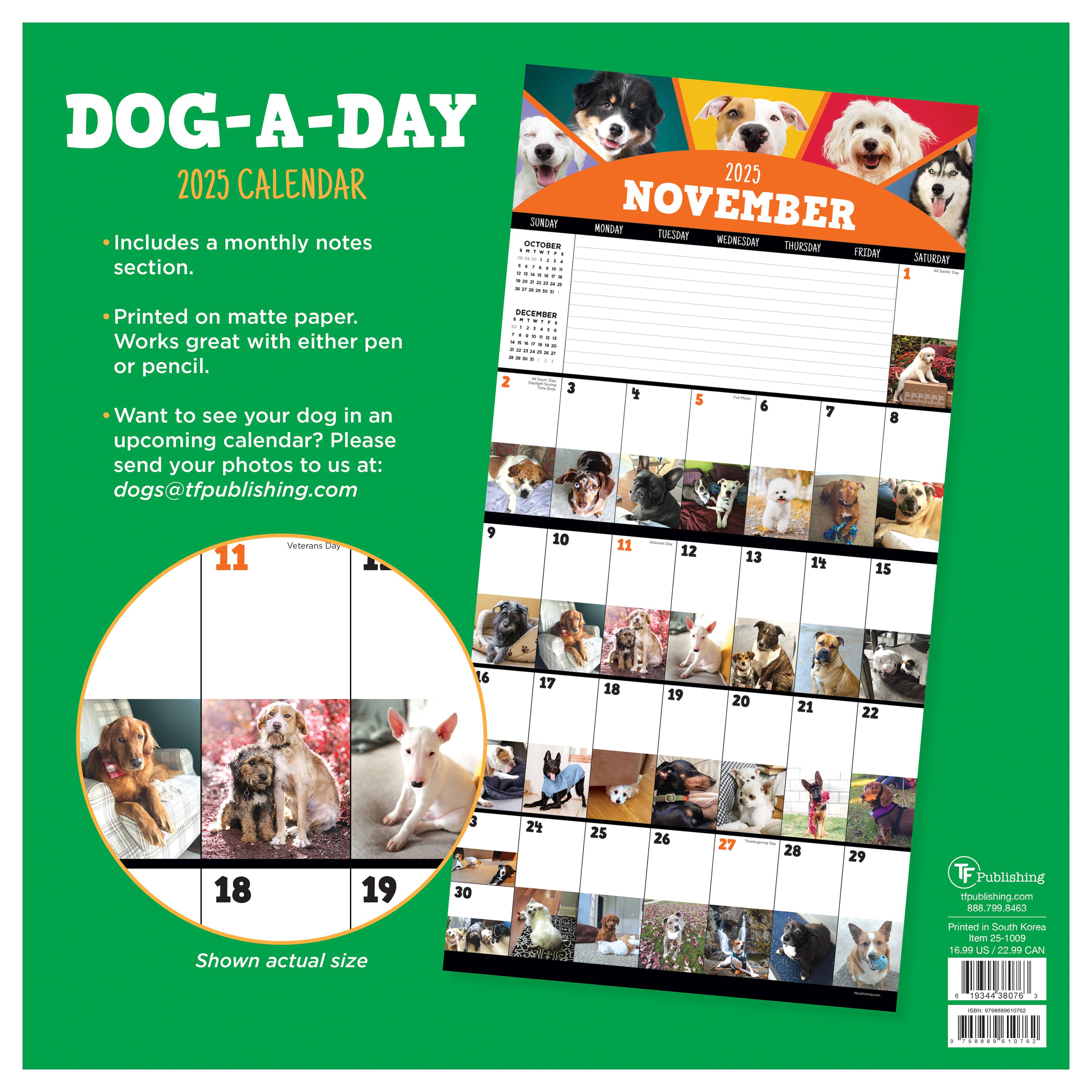 TF Publishing 2025 Dog-a-Day Wall Calendar