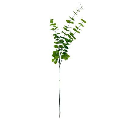 Green Tall Eucalyptus Stem by Ashland® | Michaels