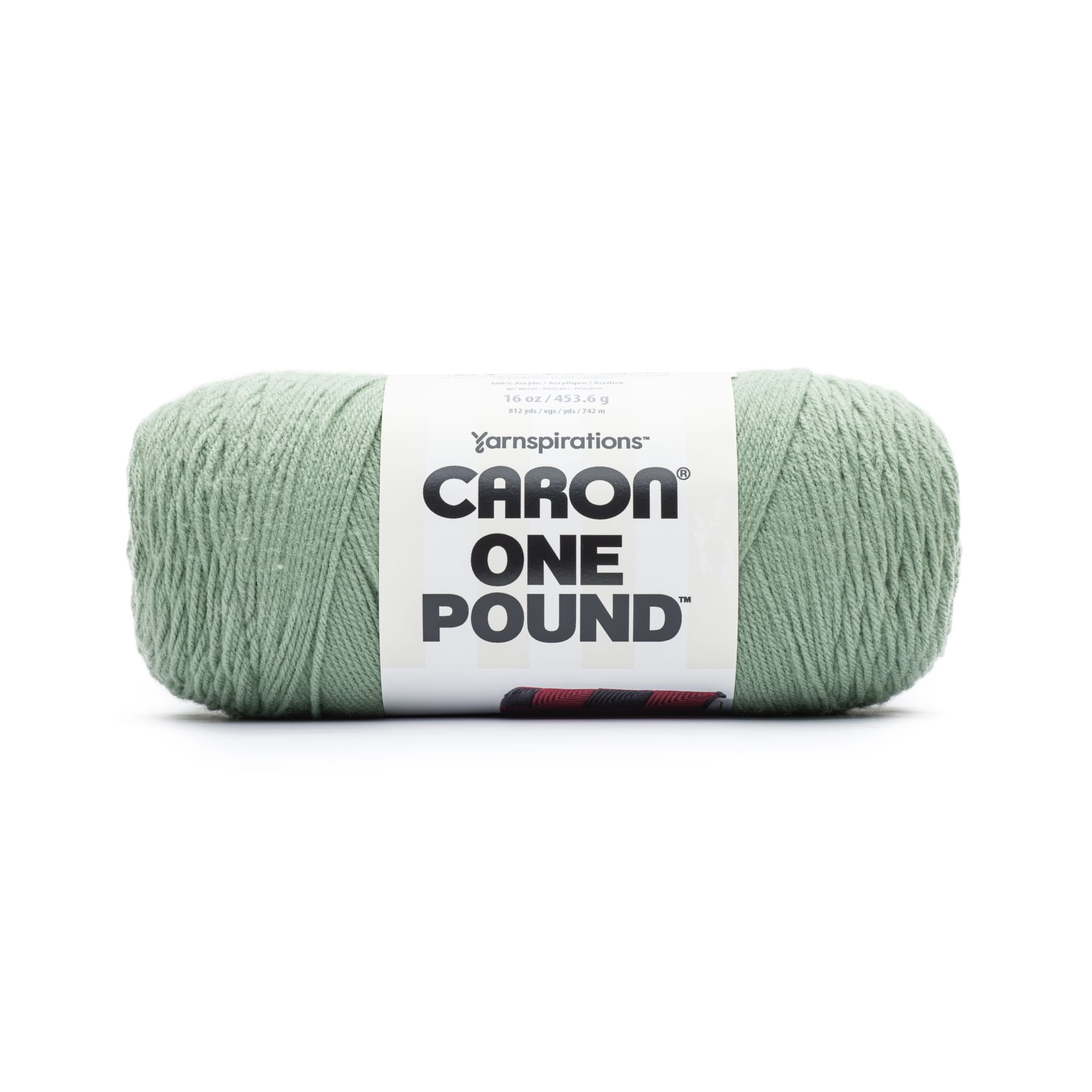 Caron� One Pound? Yarn in Succulent | 16 | Michaels�