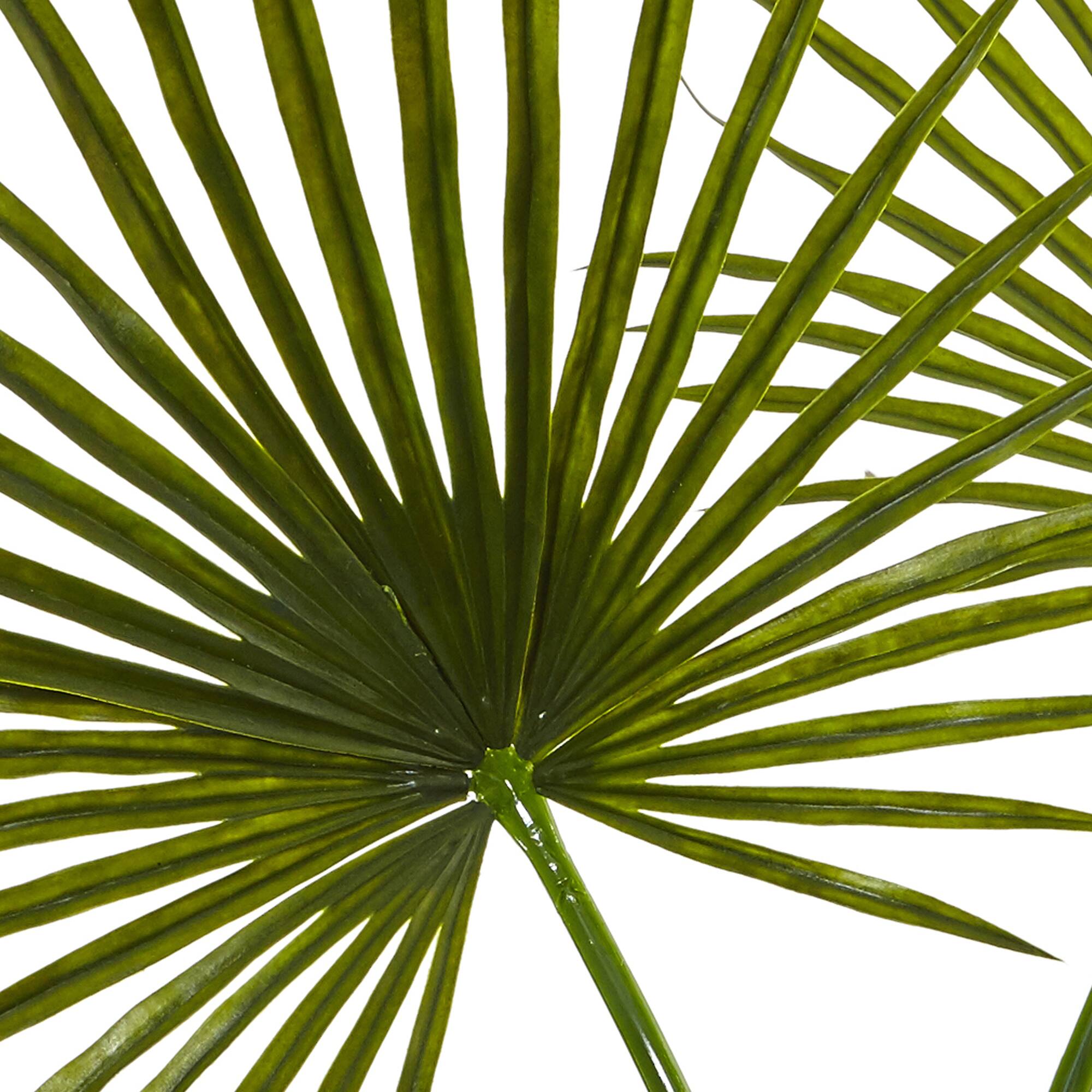 4ft. Green Fan Palm Arrangement in Glass Vase