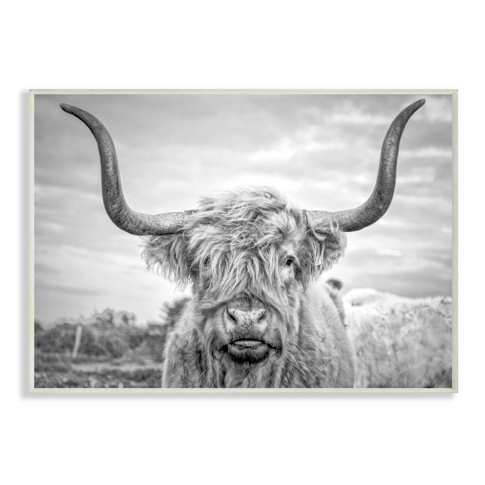 Stupell Industries Black & White Highland Cow Wall Plaque