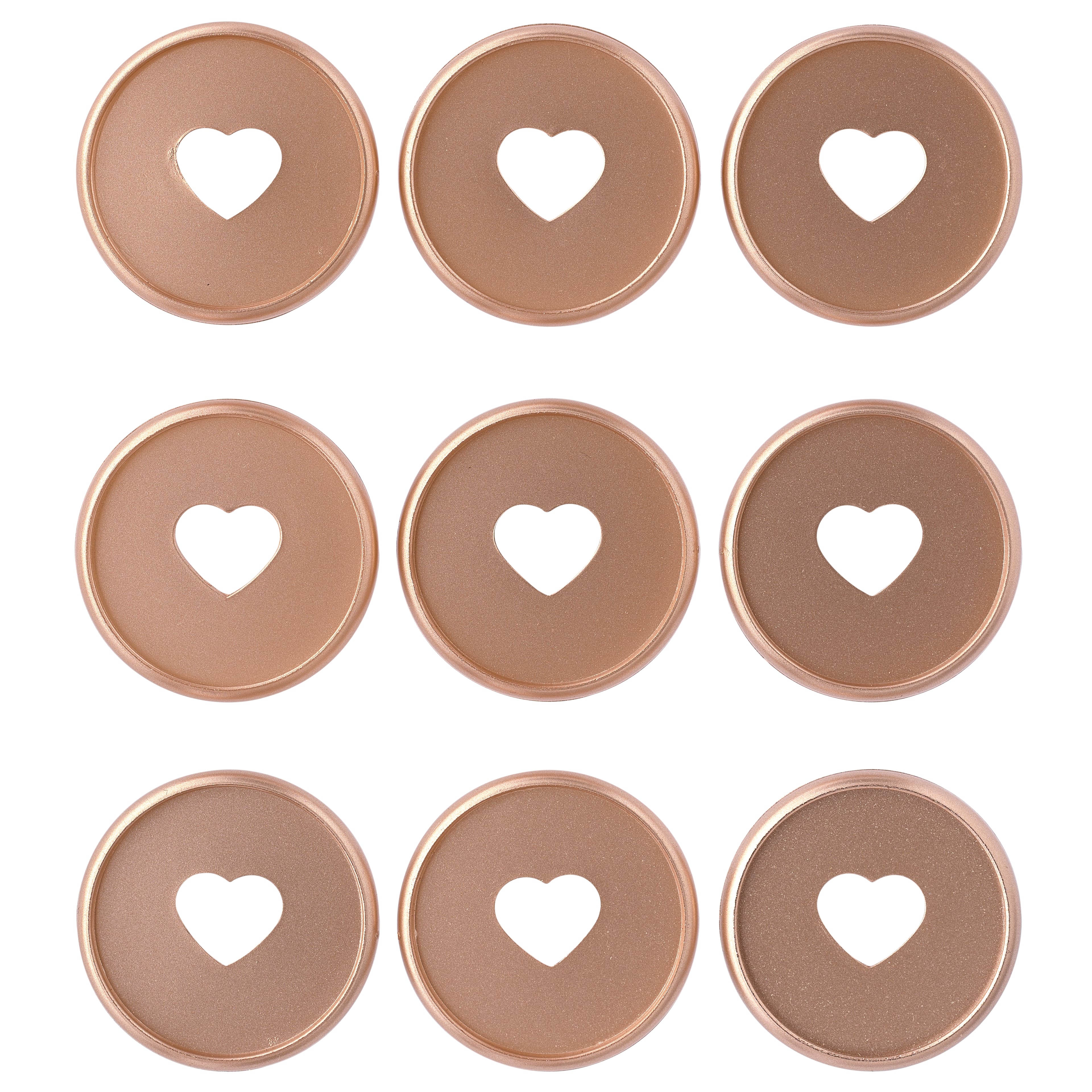 The Happy Planner® Classic Discs, Rose Gold