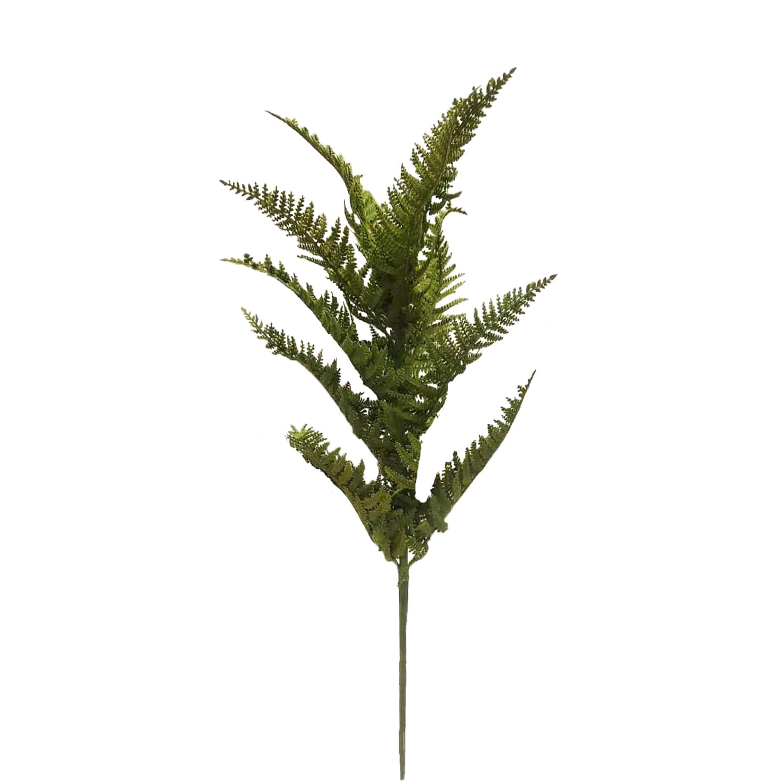 28&#x22; Dark Green Halloween Fern by Ashland&#xAE;