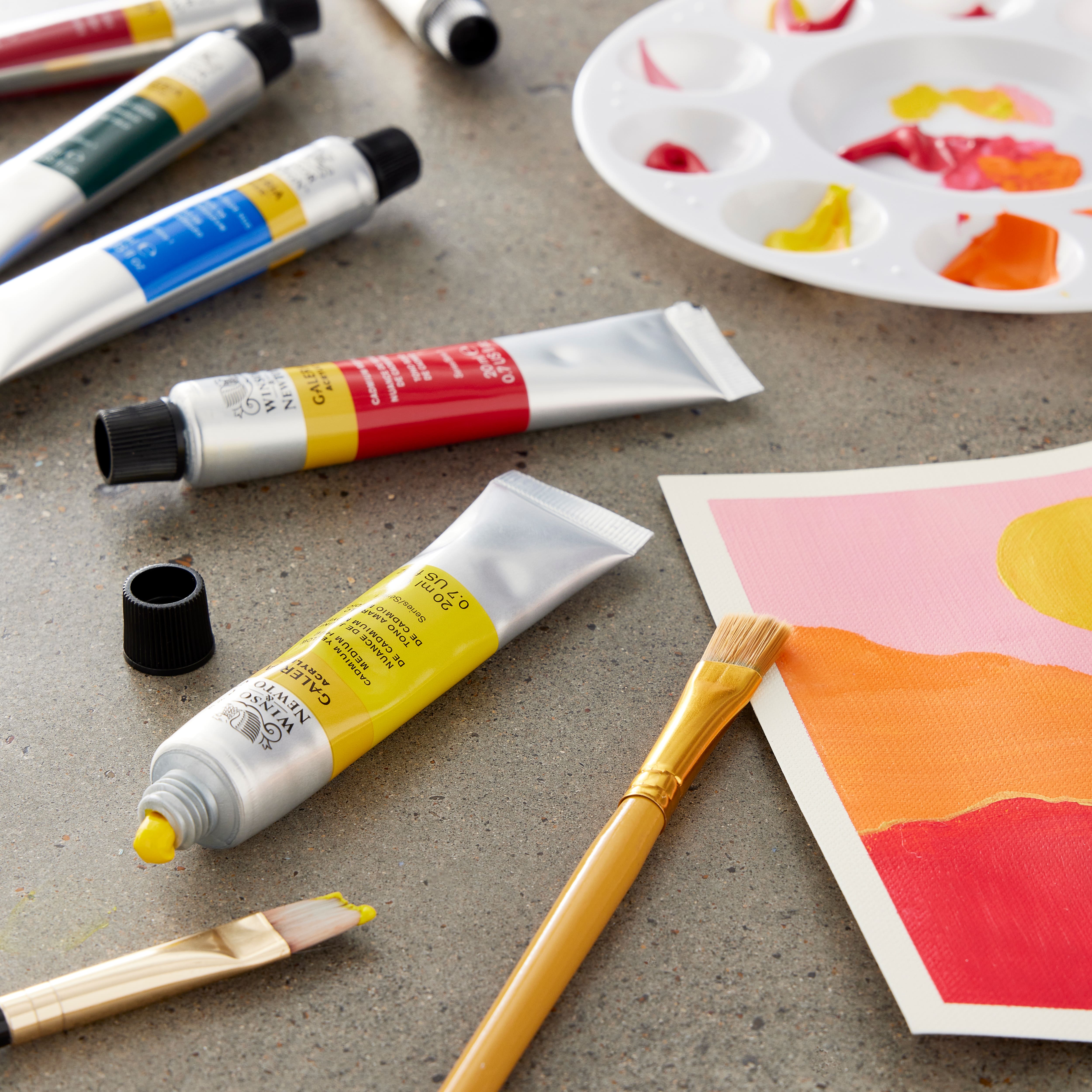 Winsor & Newton™ Galeria™ Acrylic Paint Set