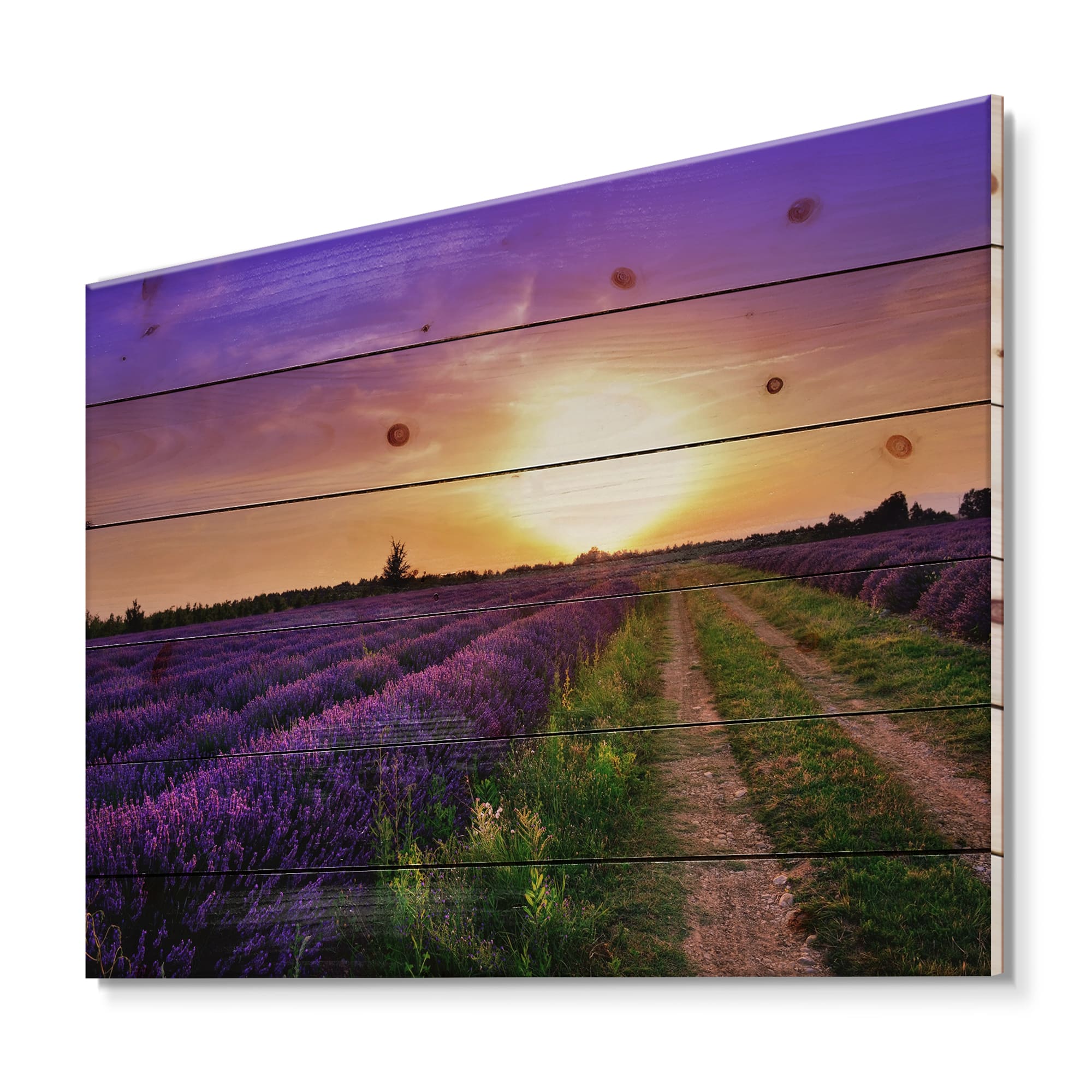 Designart - Lavender Field At Dawn II - Farmhouse Print on Natural Pine Wood