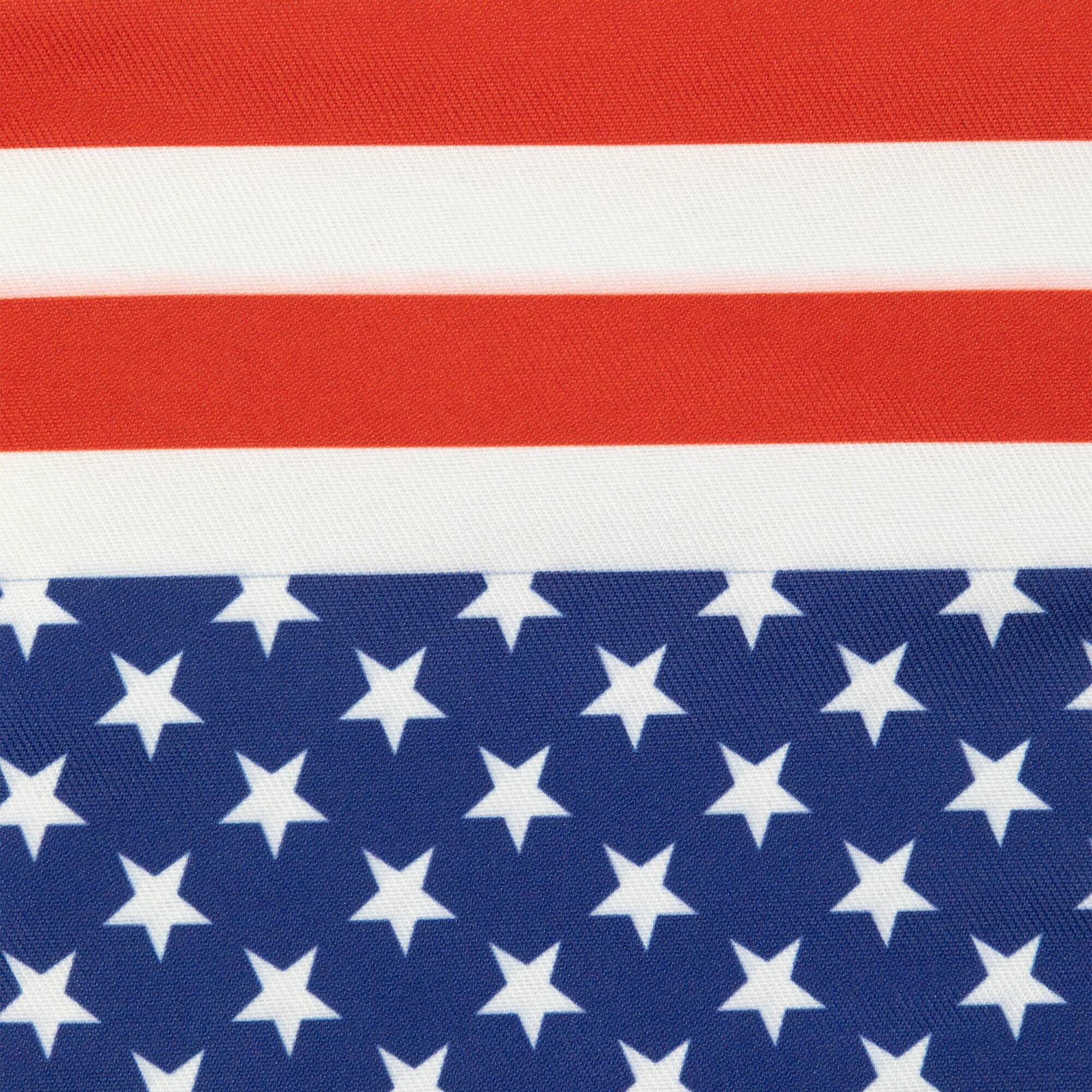 Stars & Stripes Americana Oven Mitts, 2ct.