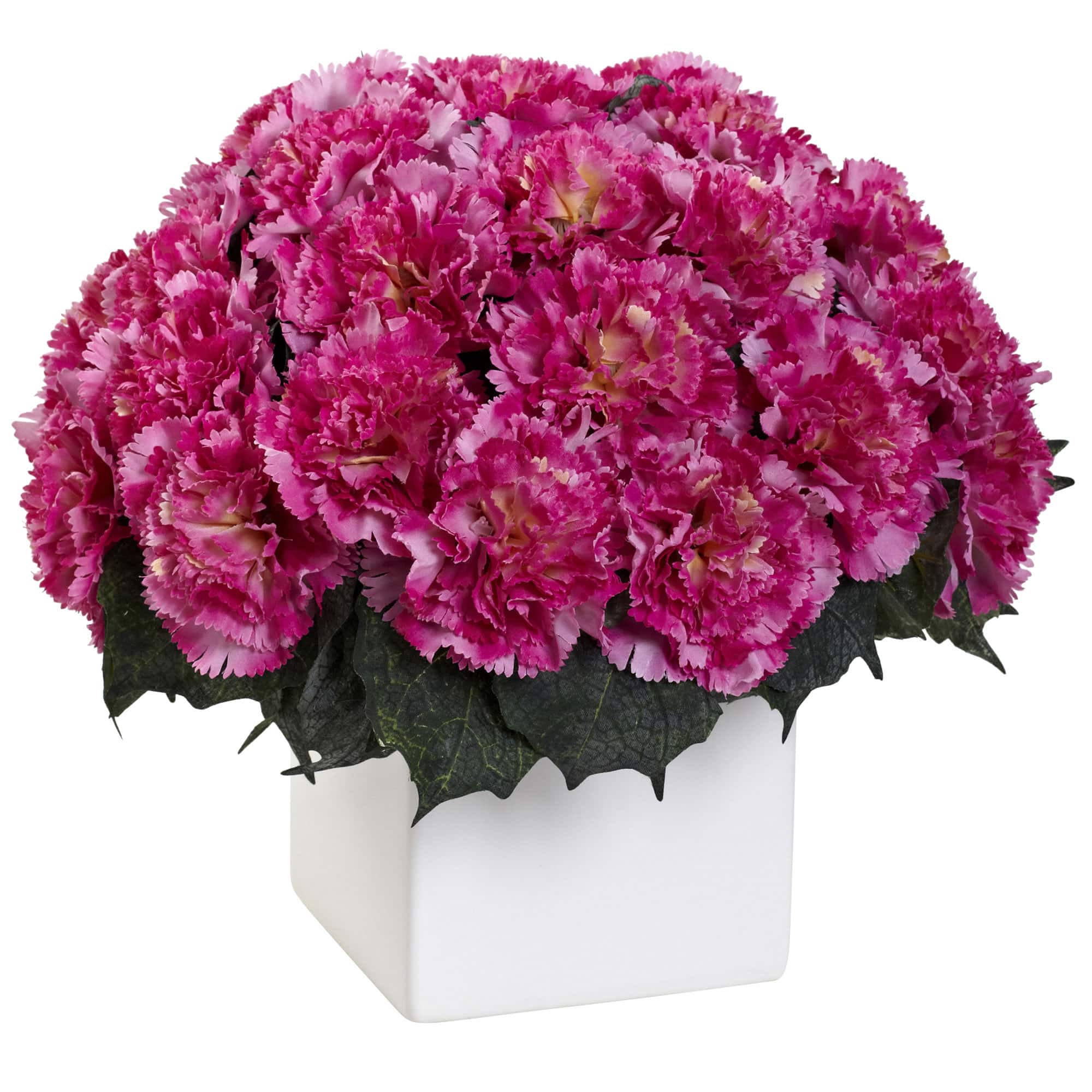 11&#x22; Dark Pink Carnation Arrangement with Vase