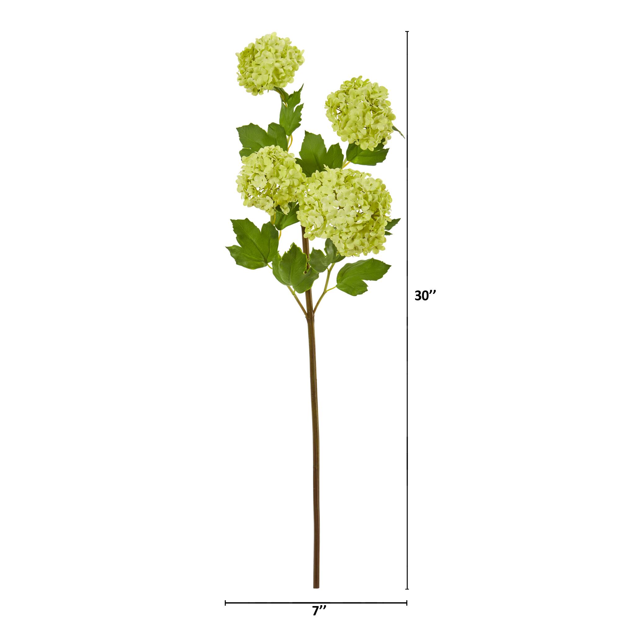 Green Snowball Hydrangea Stem, 3ct.
