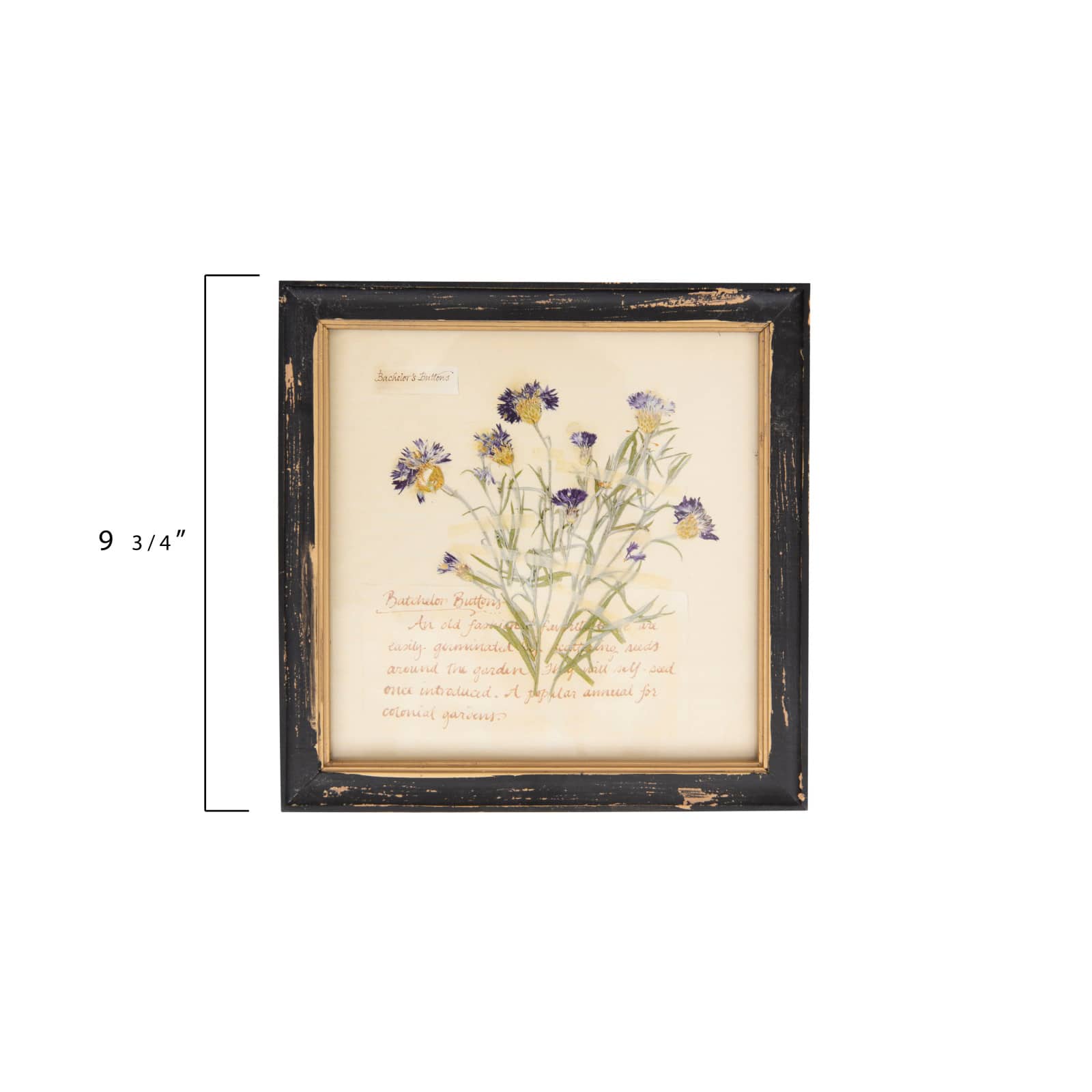Hello Honey® Floral Images Square Wood Framed Wall Décor Set