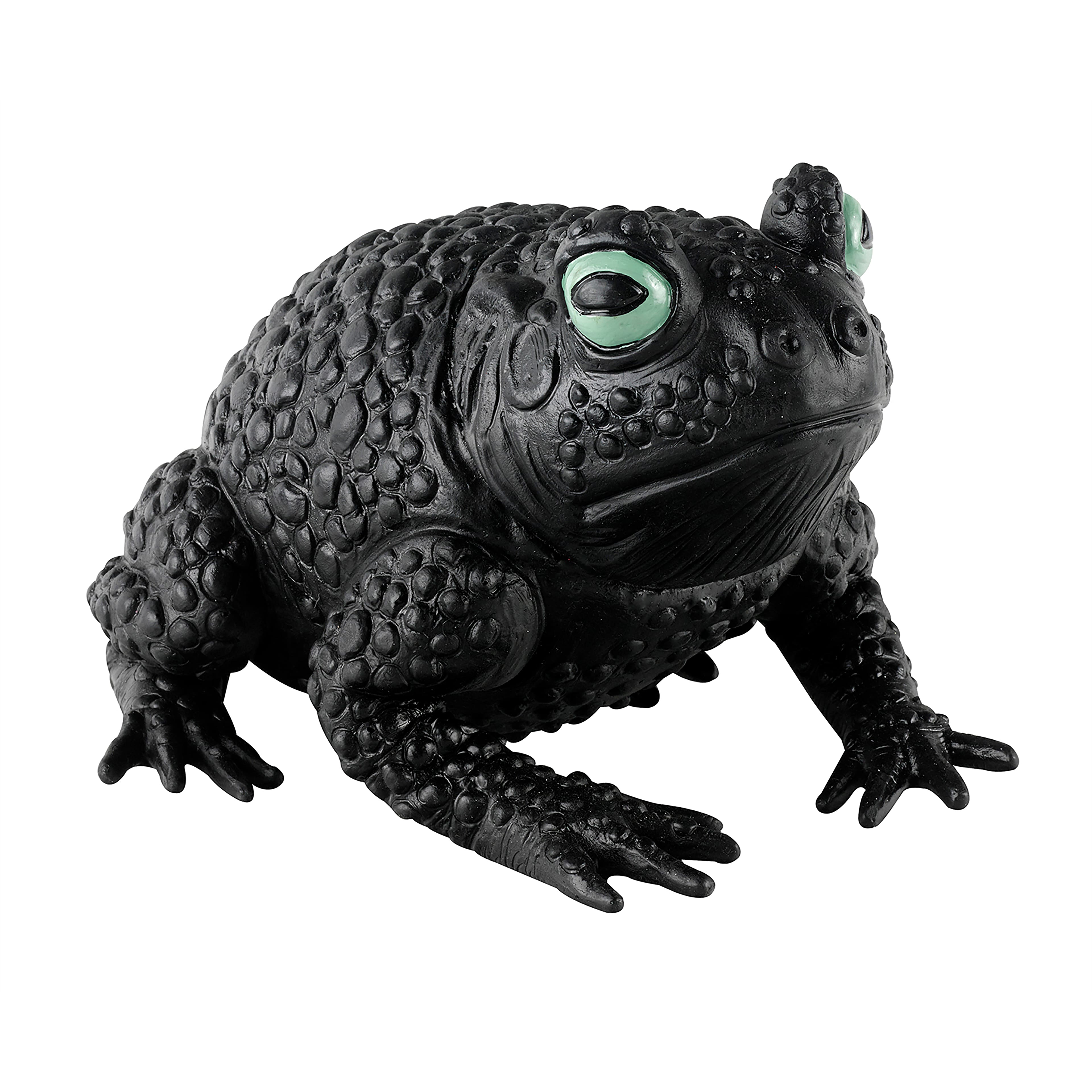 10&#x22; Black Frog by Ashland&#xAE;