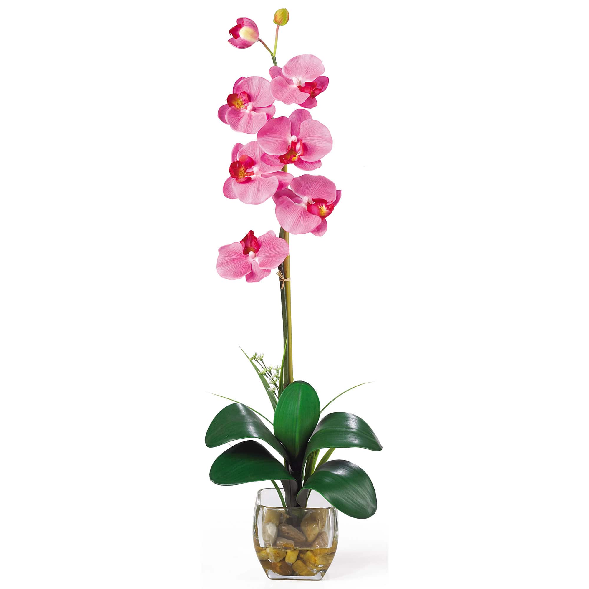 2.3ft. Dark Pink Orchid Arrangement with Vase