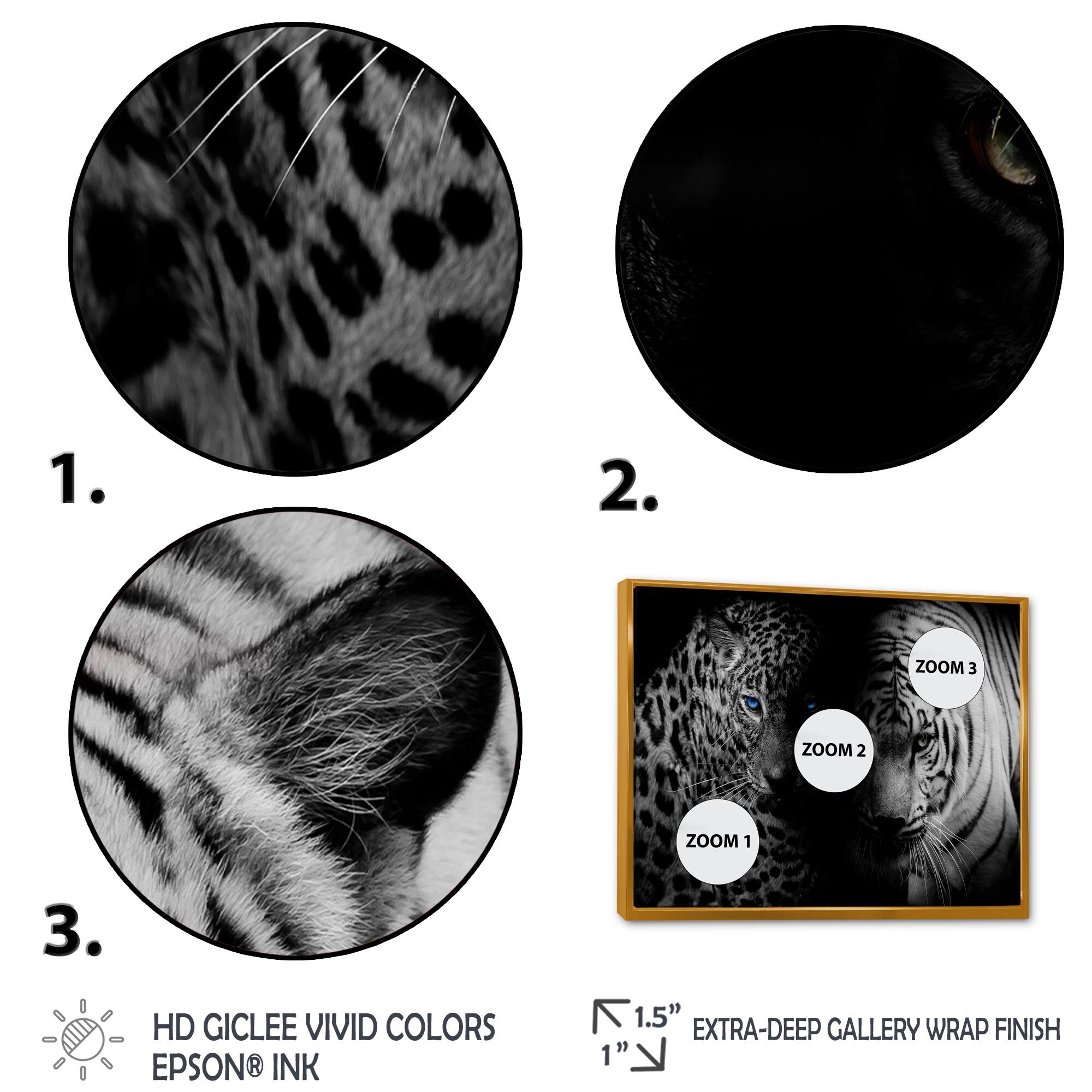 Designart - Leopard and Tiger in Black - Animal Framed Canvas Art Print