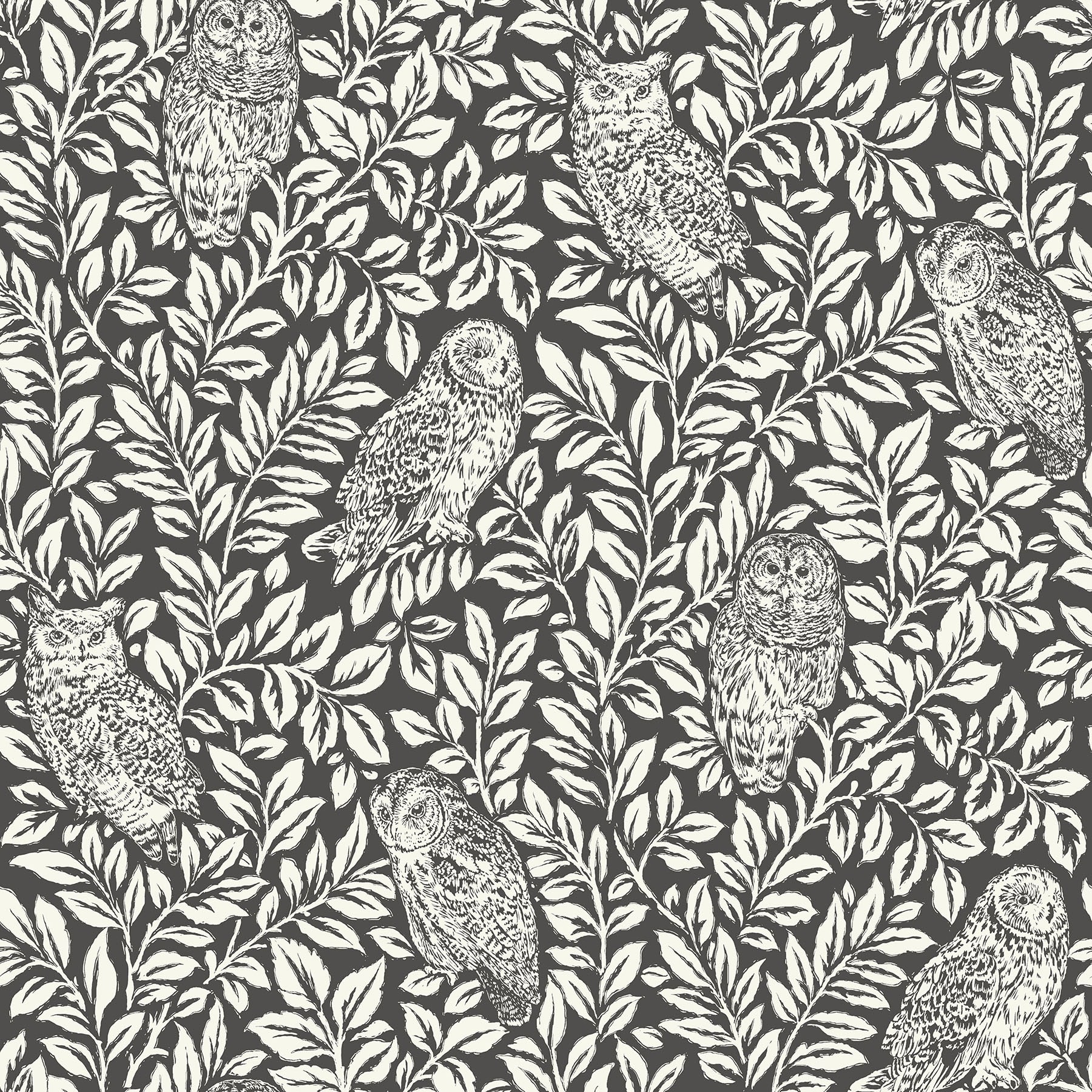 Wallpops Charcoal Sleepy Owls Peel &#x26; Stick Wallpaper