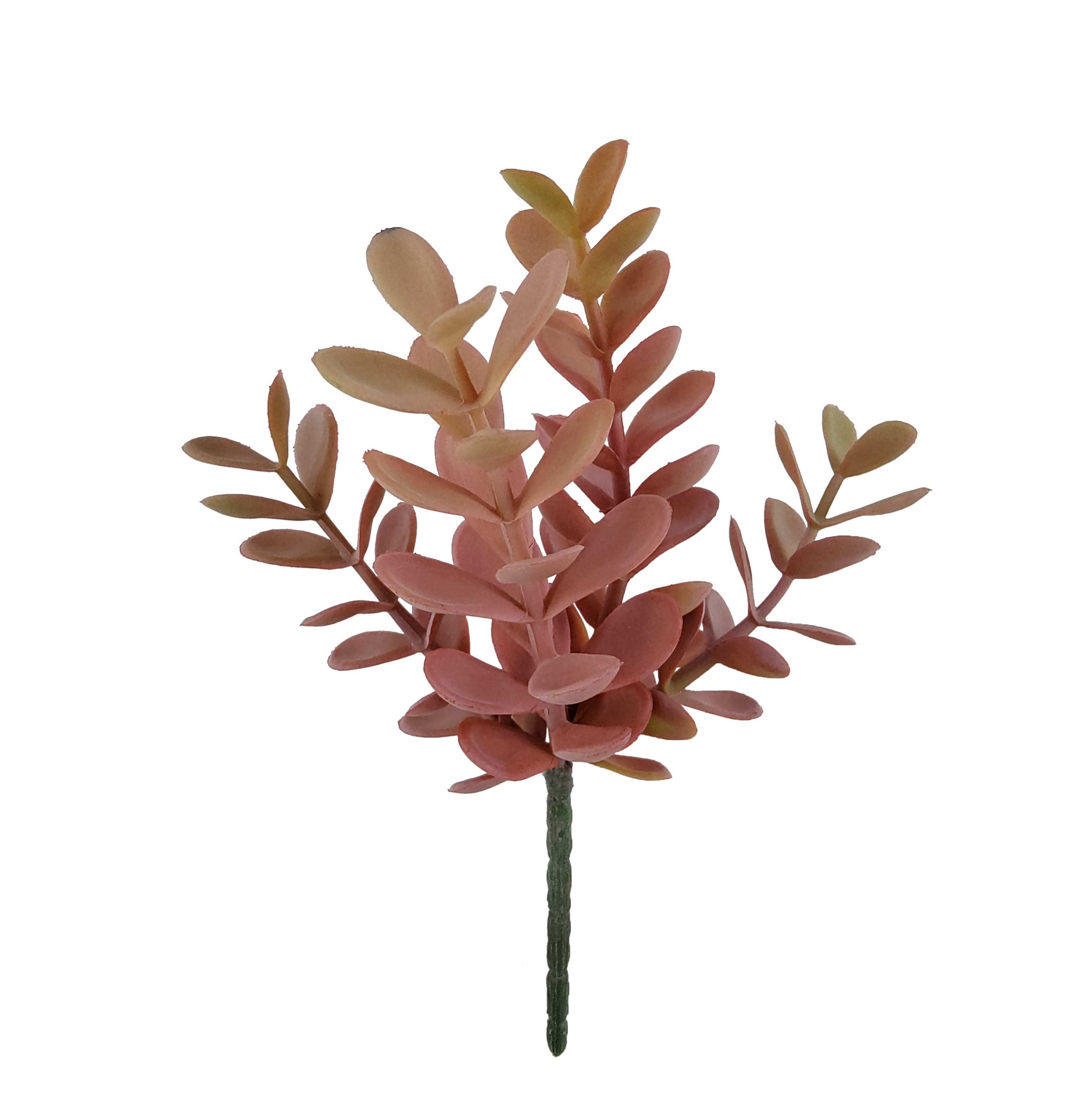 8&#x22; Pink Sedum Pick by Ashland&#xAE;
