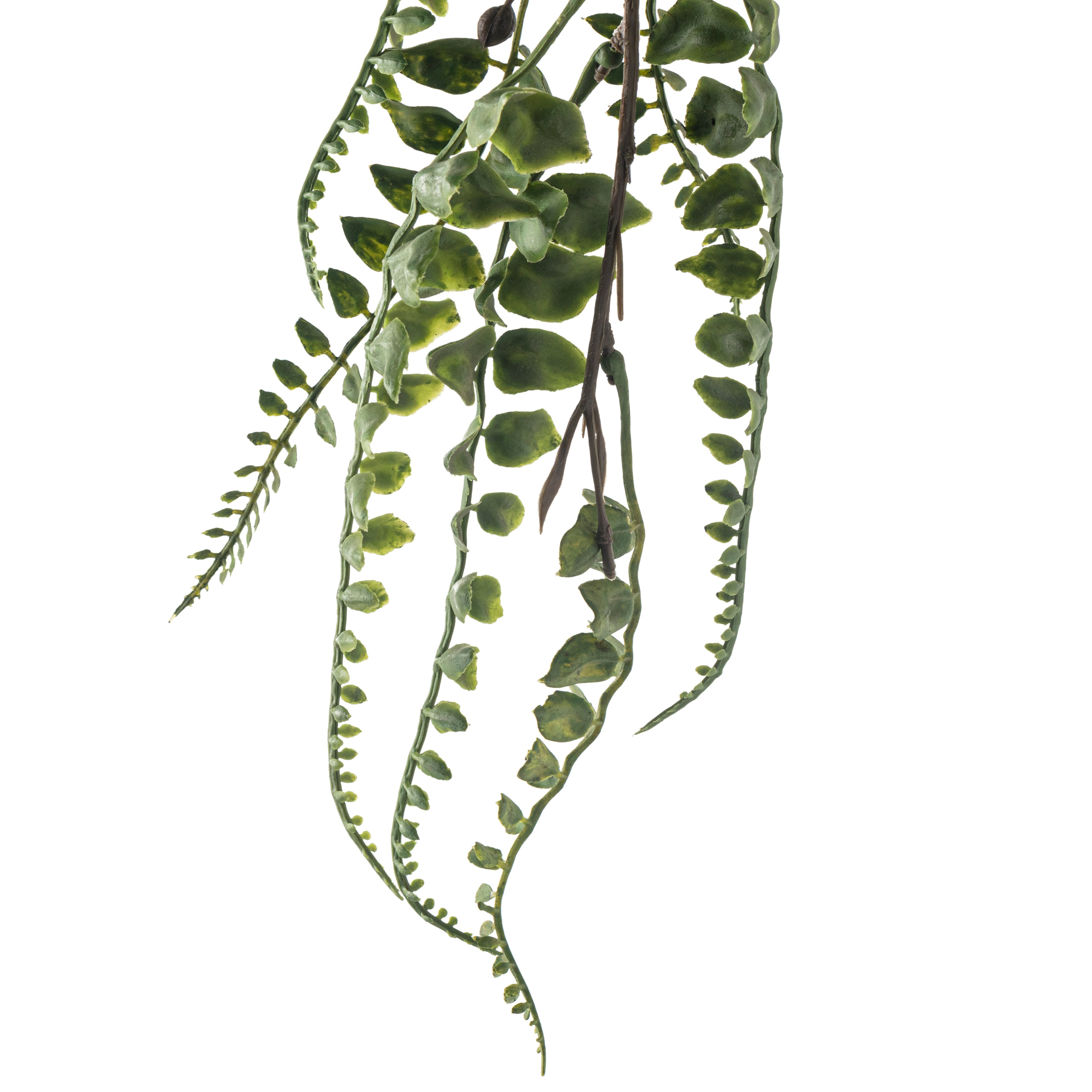 Green Fern Leaf Spray by Ashland®