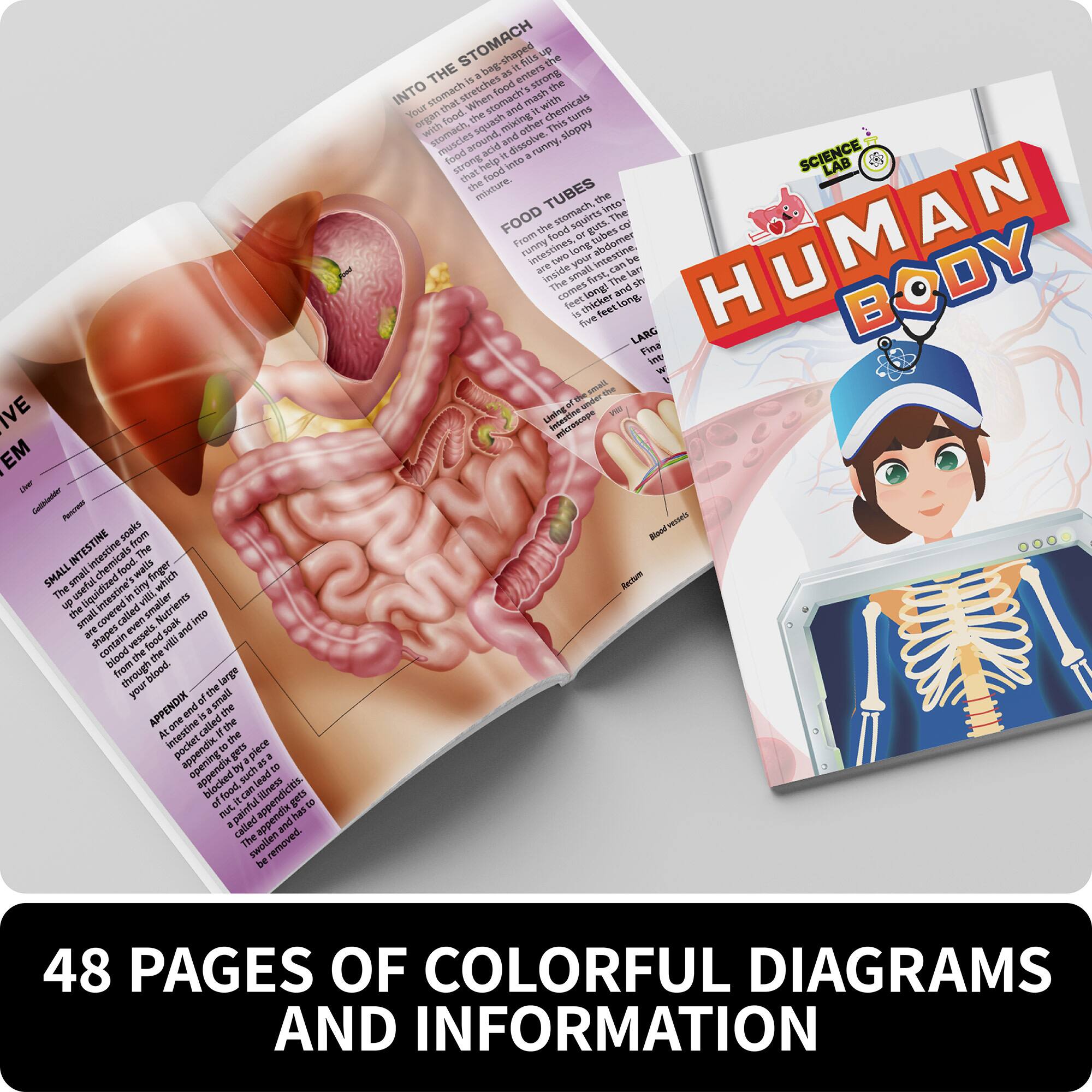 SpiceBox&#x2122; Science Lab Human Body Kit