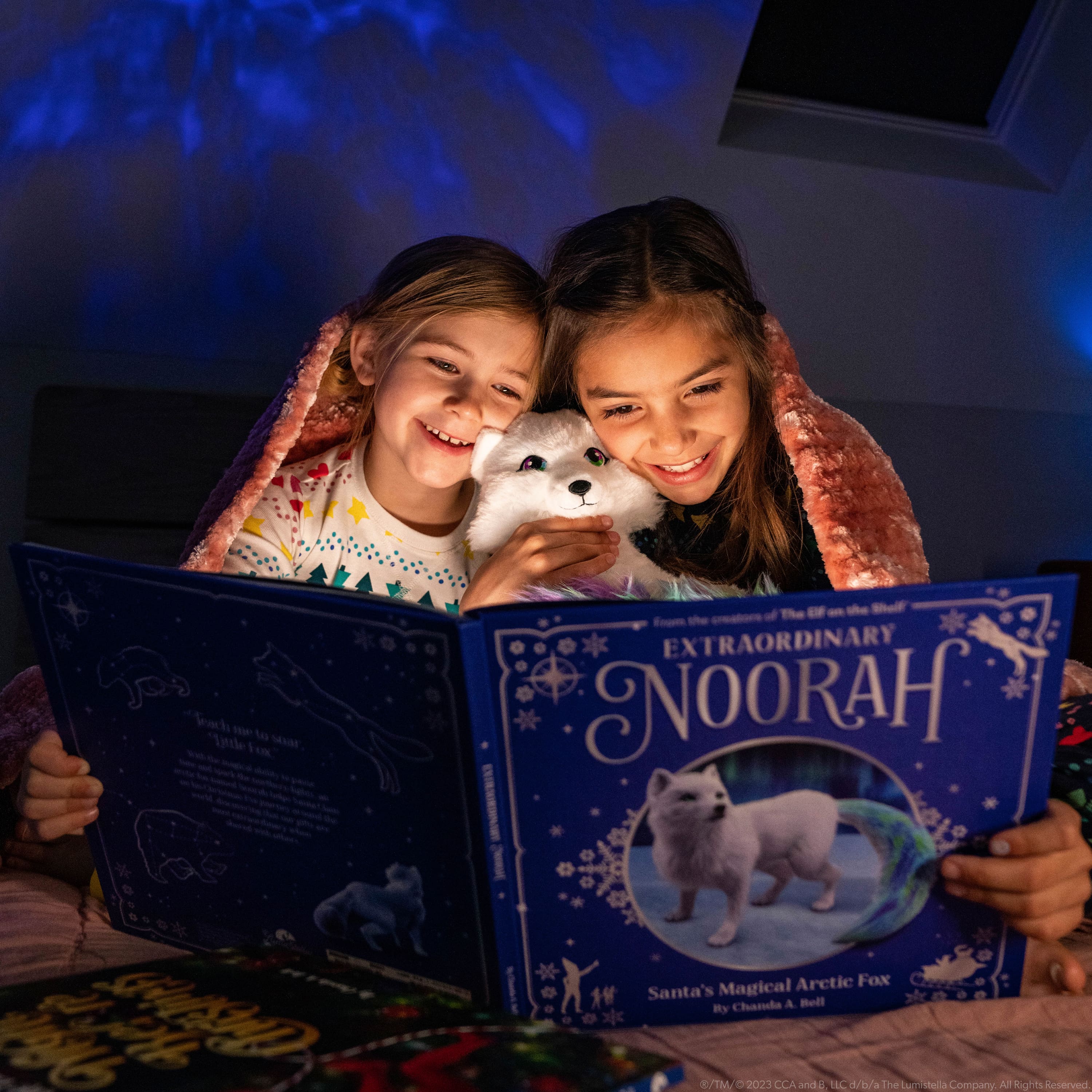 Extraordinary Noorah: Santa&#x27;s Magical Arctic Fox