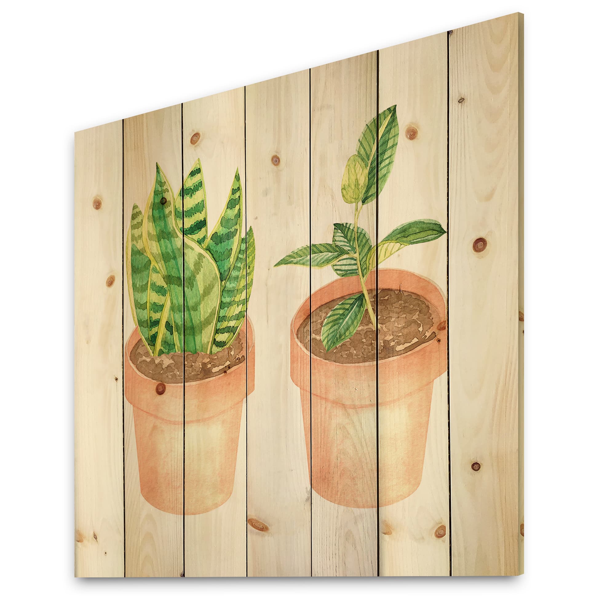 Designart - Sansevieria &#x26; Ficus Indoor Green Home House Plants - Traditional Print on Natural Pine Wood