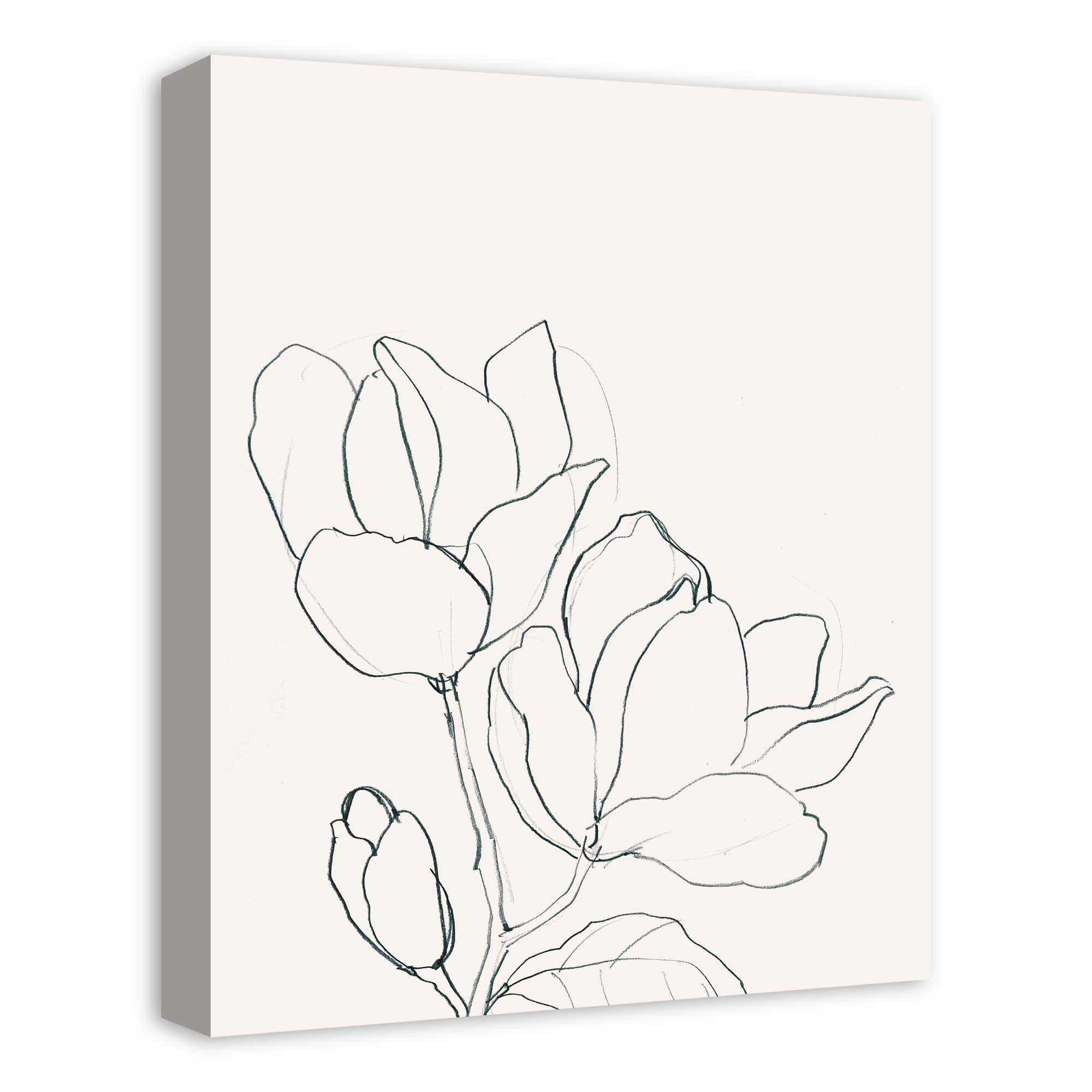 Magnolia Line Drawing 16" x 20" Canvas Wall Art