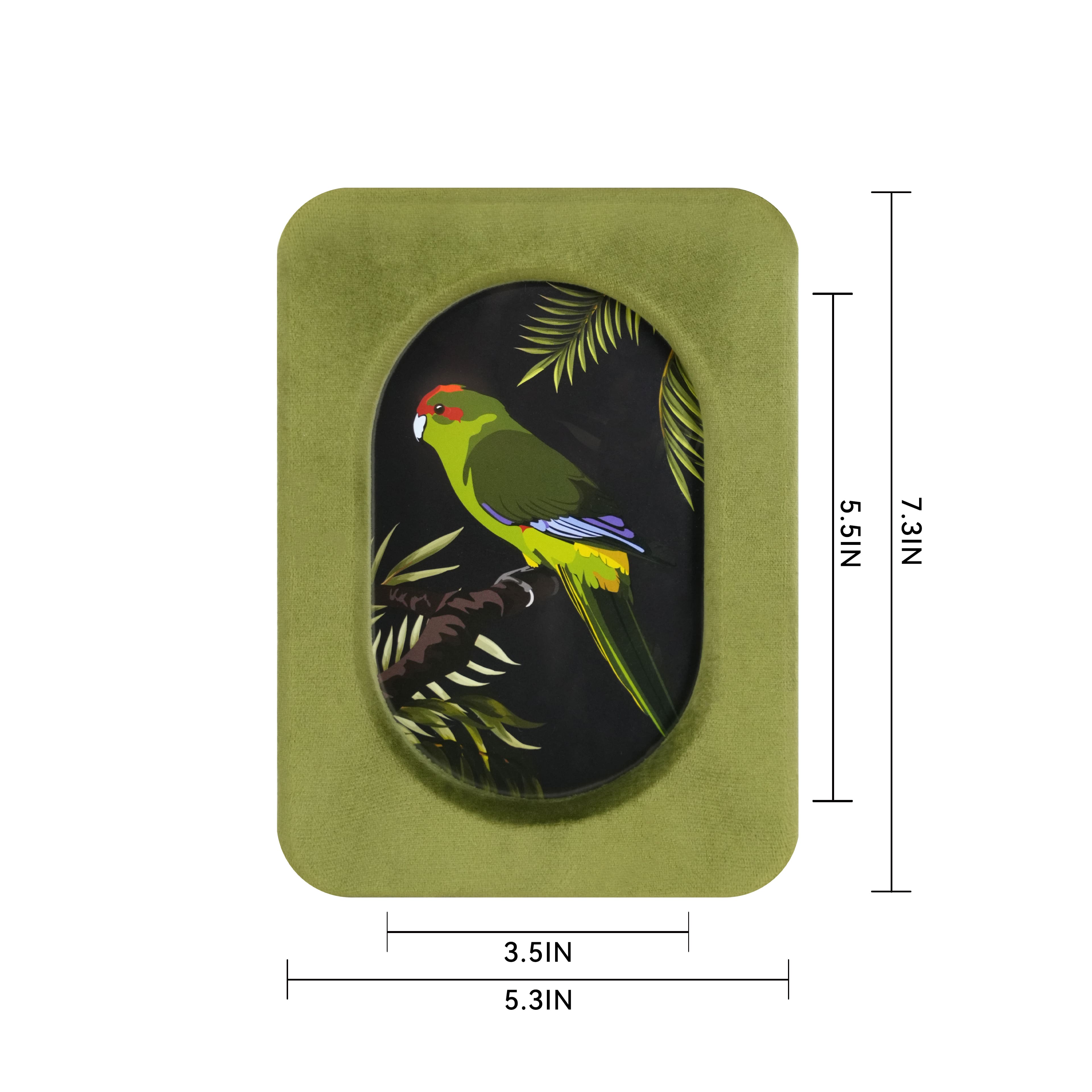 Safari 4&#x22; x 6&#x22; Velvet Frame with Round Opening by Ashland&#xAE;
