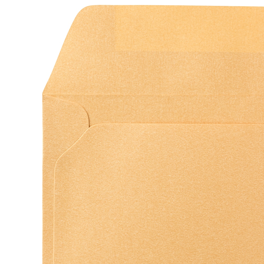 JAM Paper Gold Stardream 9&#x22; x 12&#x22; Open End Envelopes