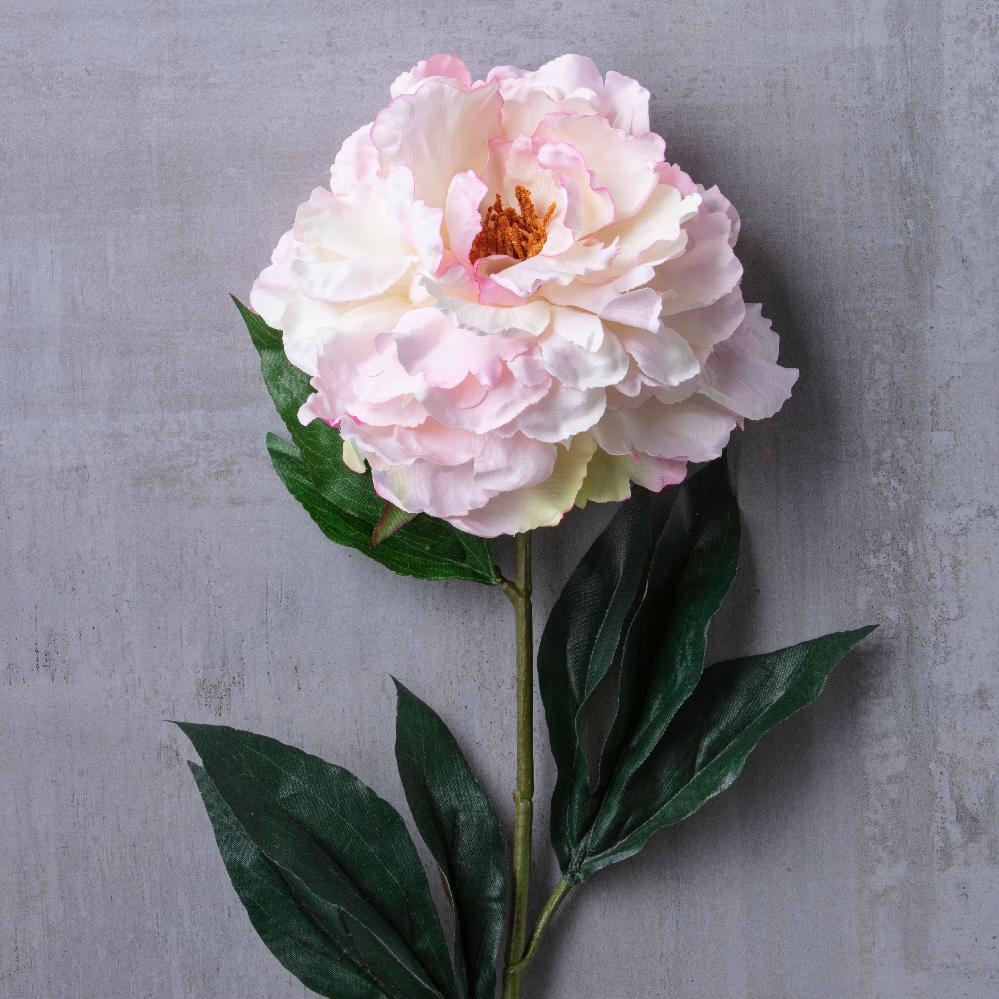 Peony Stem by Ashland&#xAE;