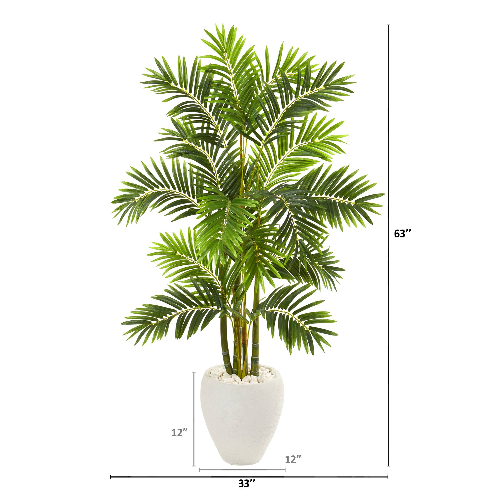 5ft. Areca Palm Tree in White Planter