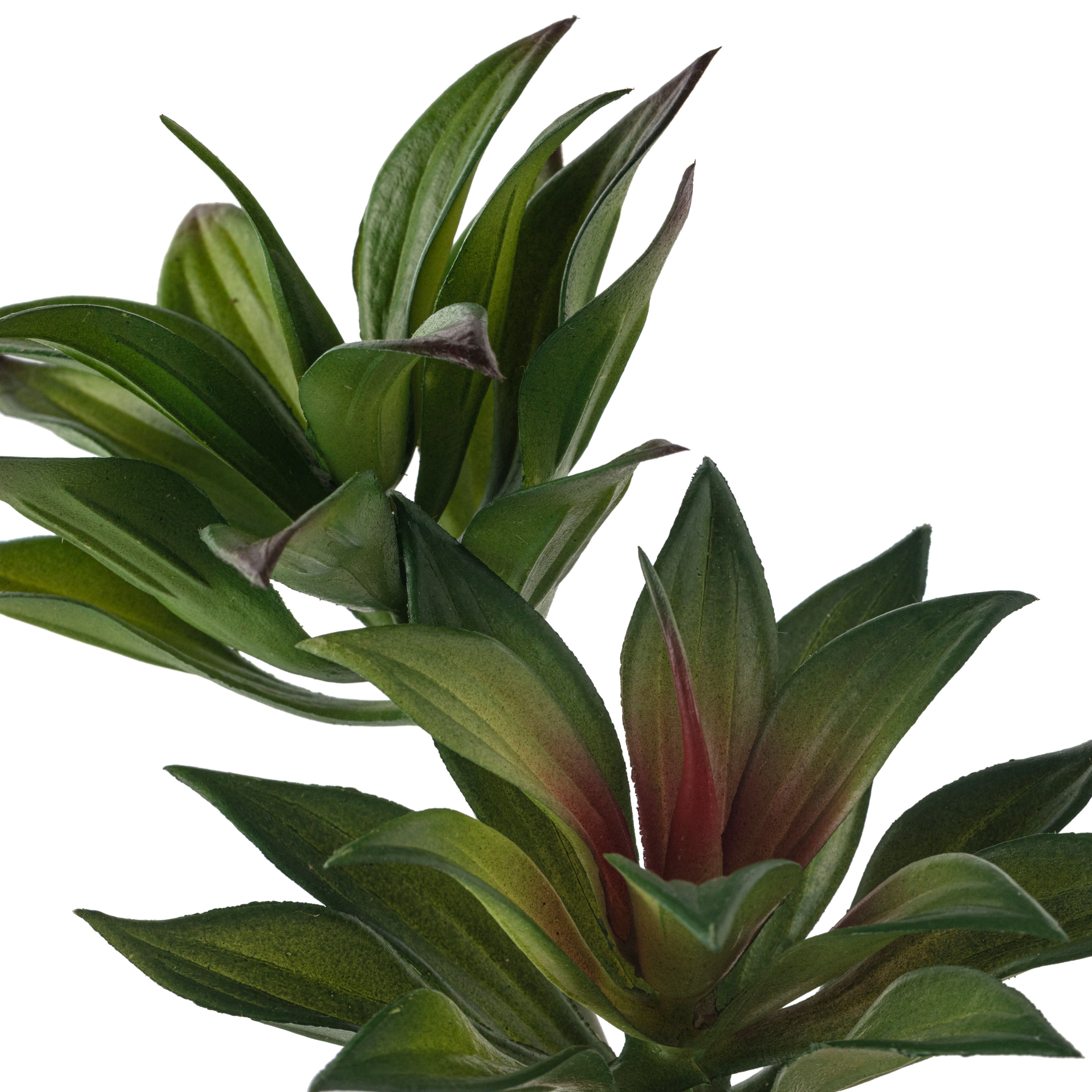 Assorted Agave Pick By Ashland&#xAE;, 1pc.