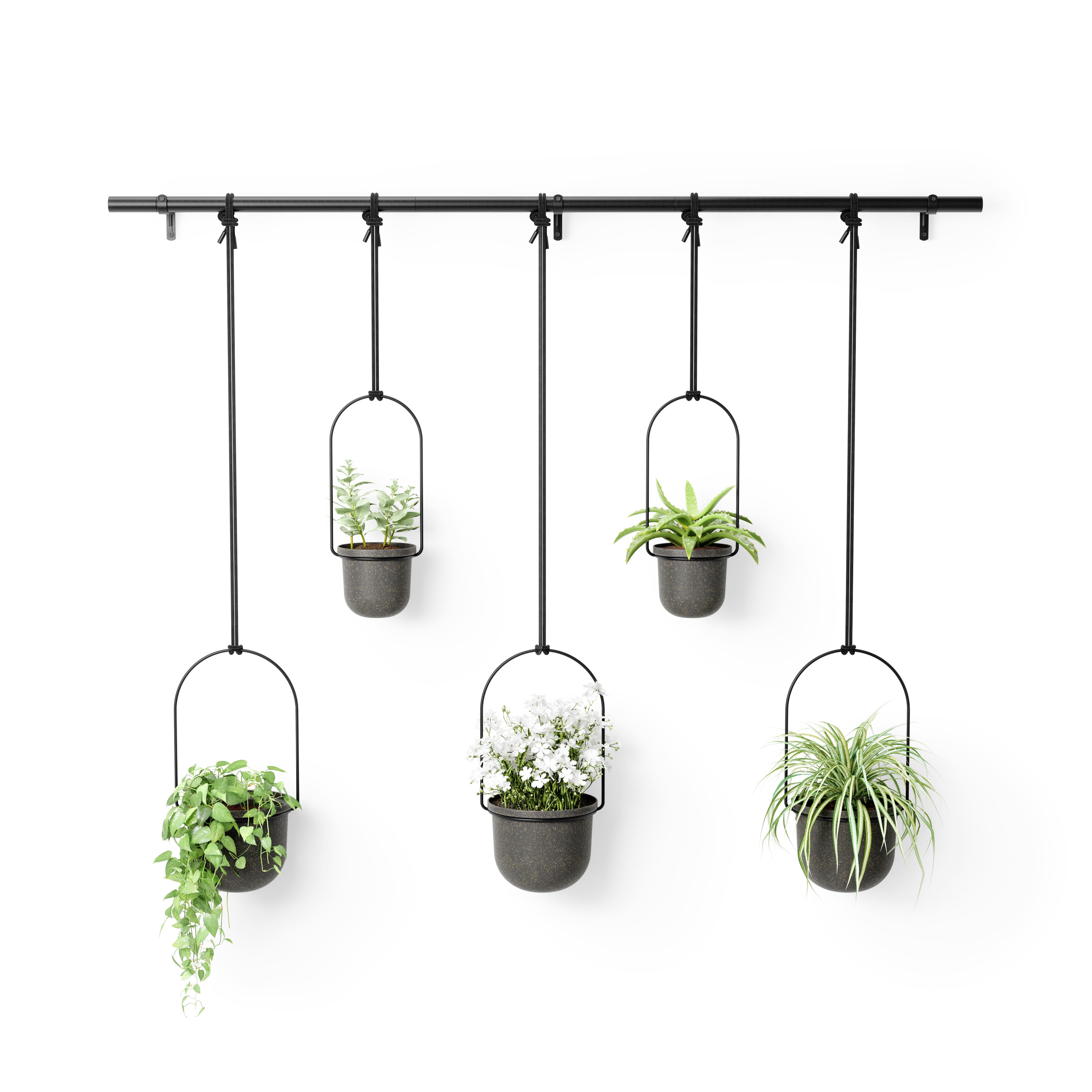 Umbra Black Triflora Hanging Planter Set