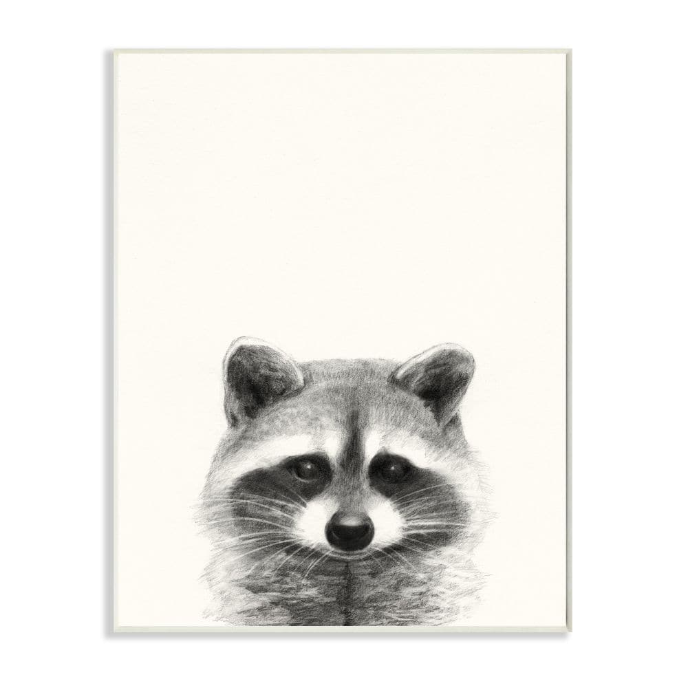 Stupell Industries Raccoon Portrait Grey Drawing Design Wood Wall Plaque