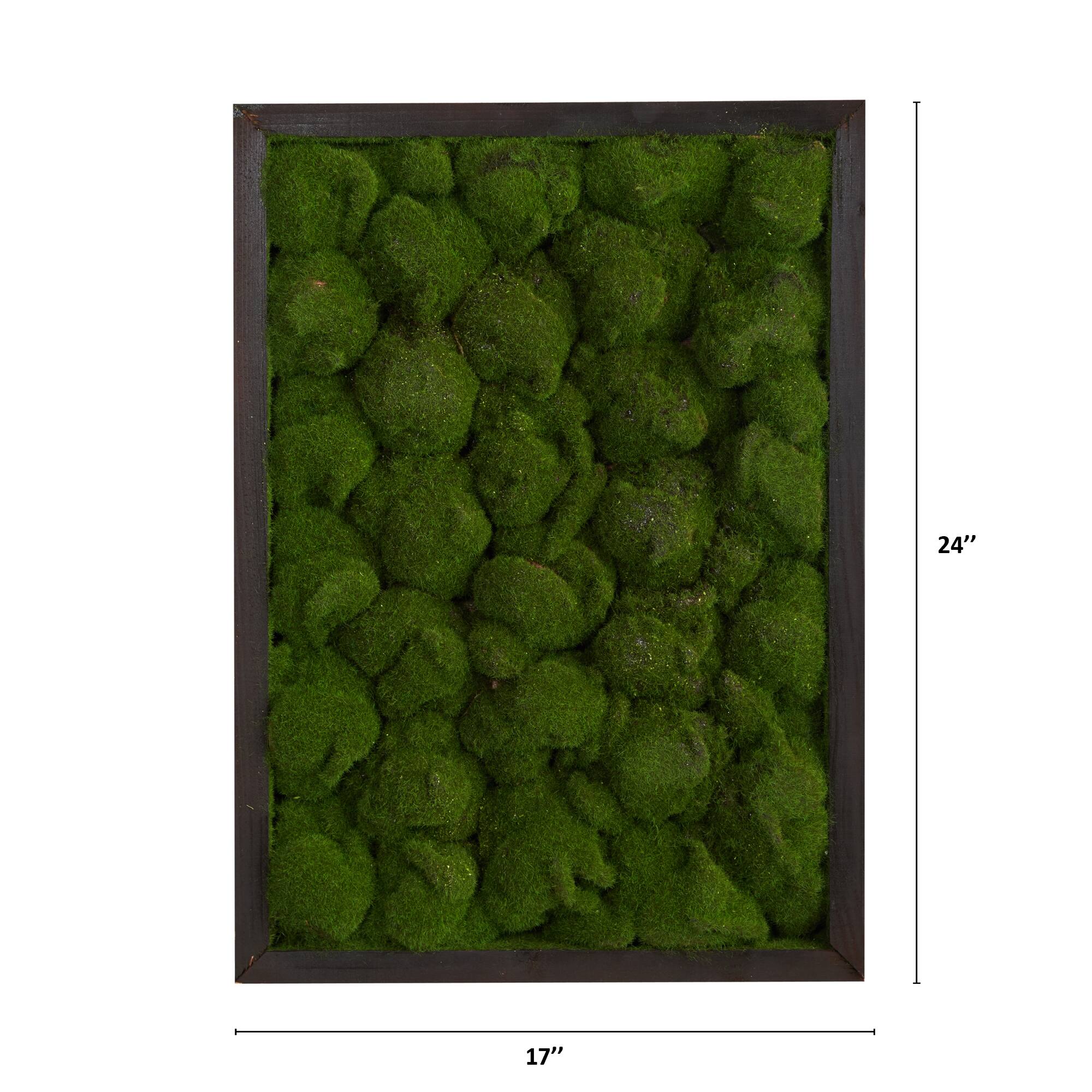24" Artificial Moss Hanging Frame