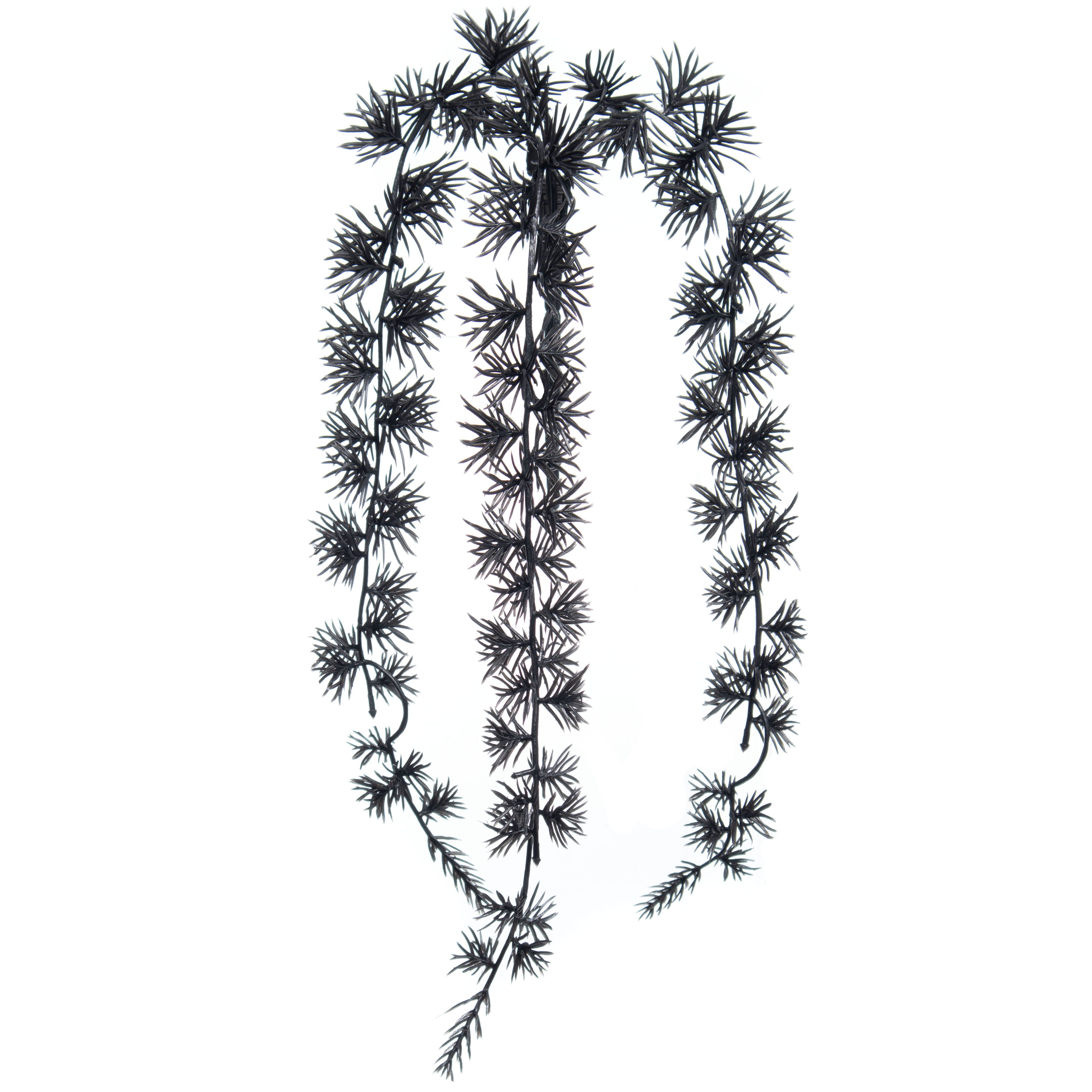 10" Black Vine Pick by Ashland®