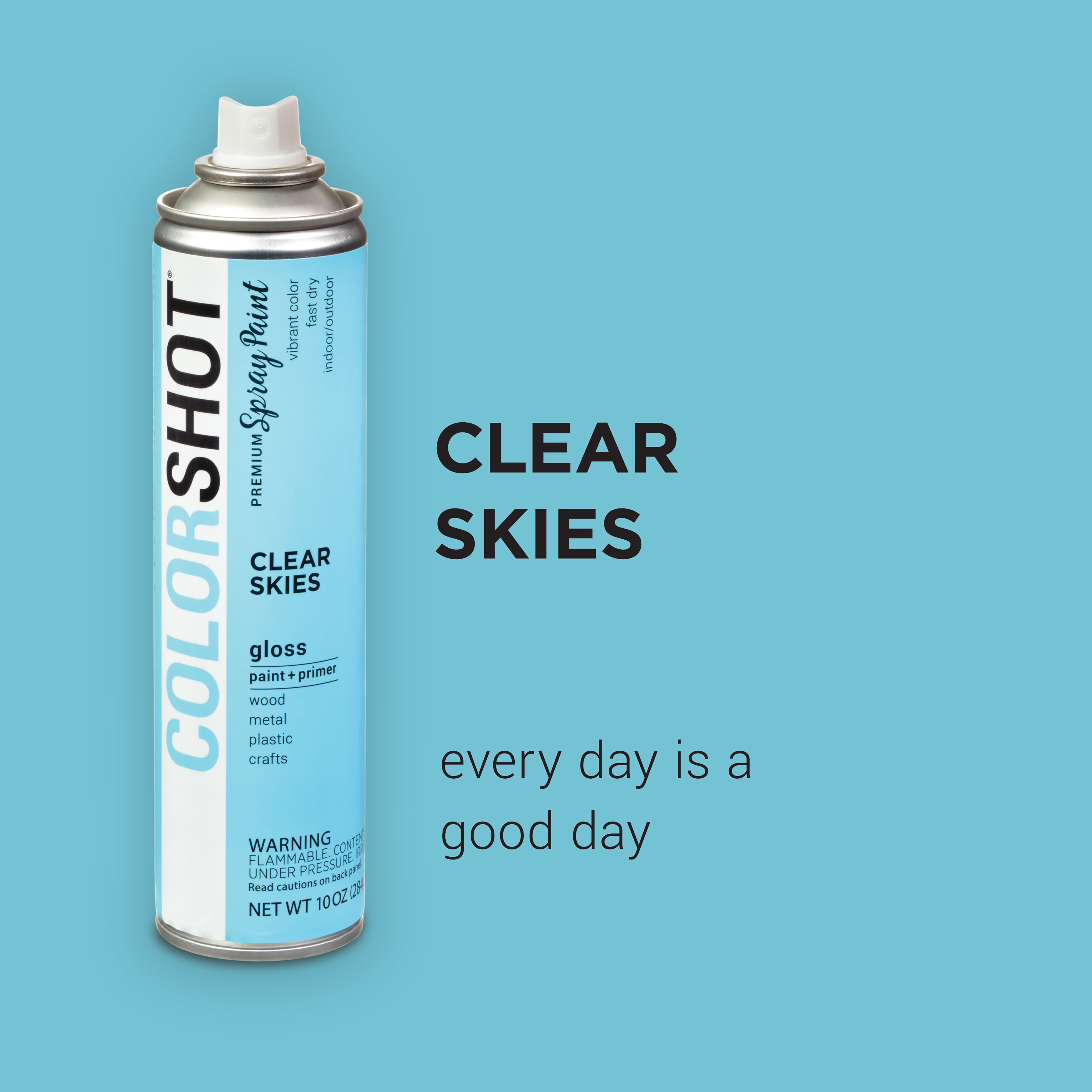 COLORSHOT&#xAE; Premium Gloss Spray Paint