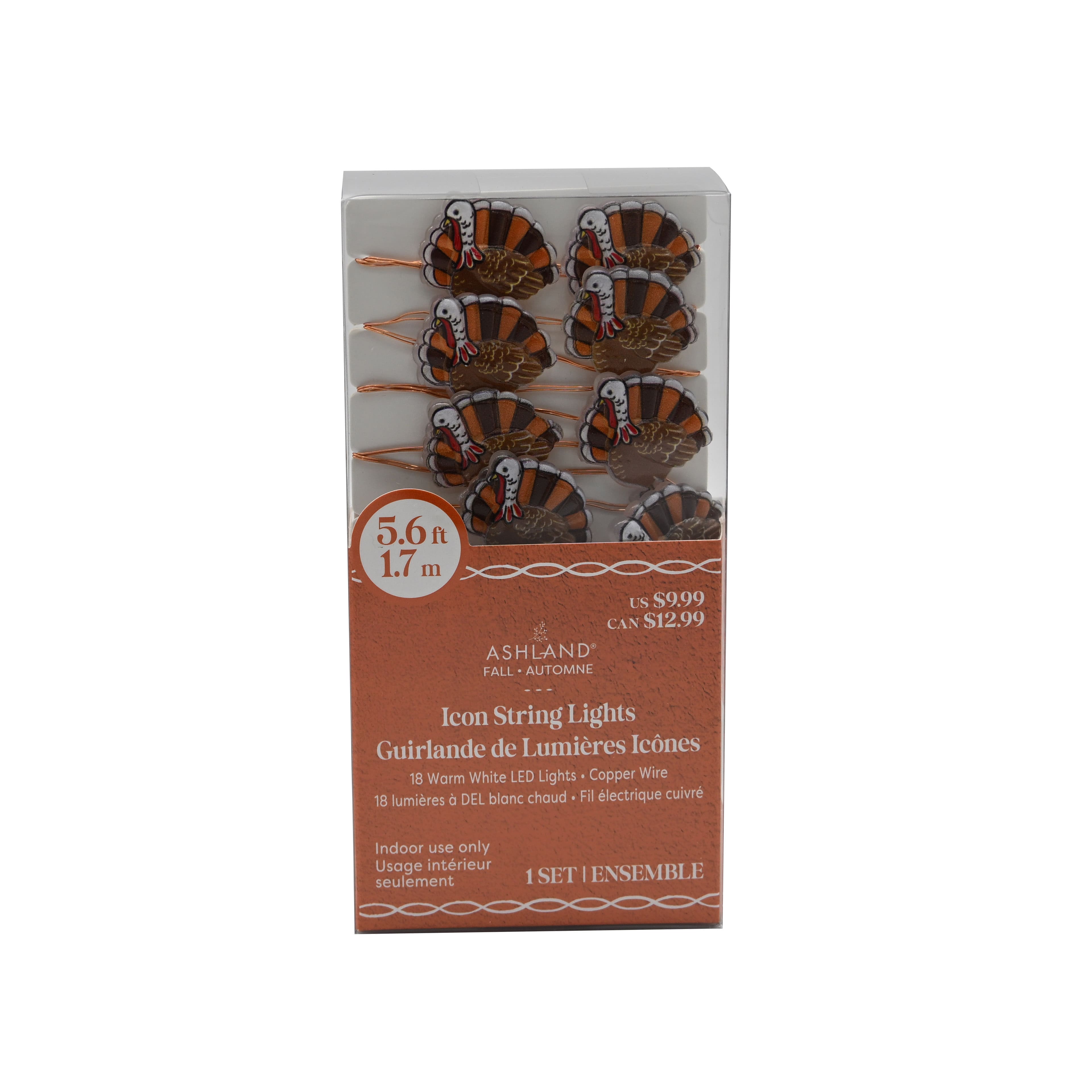 18ct. Warm White LED Turkey Icon String Lights by Ashland®