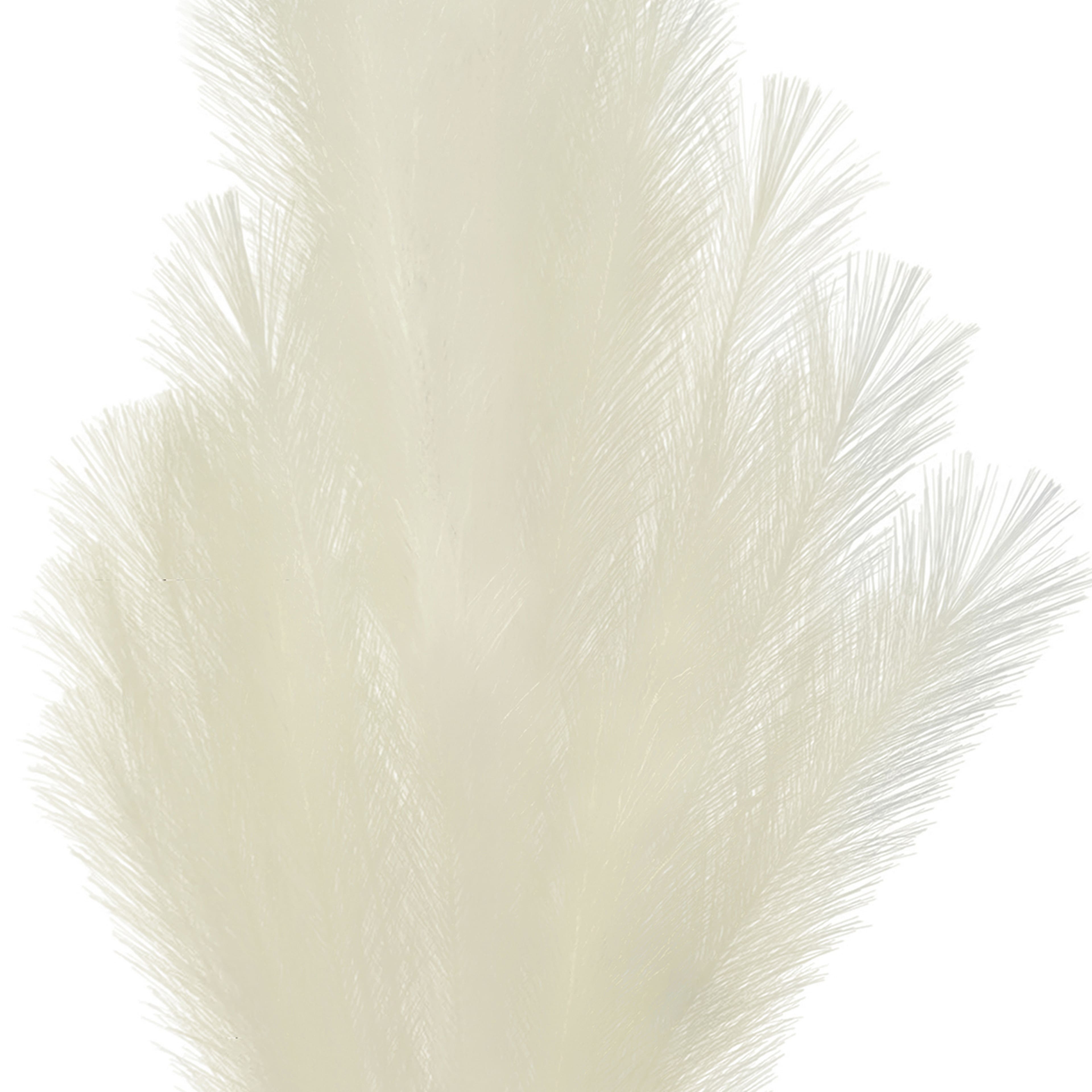 6 Pack: 42" Cream Pampas Grass Stem by Ashland®