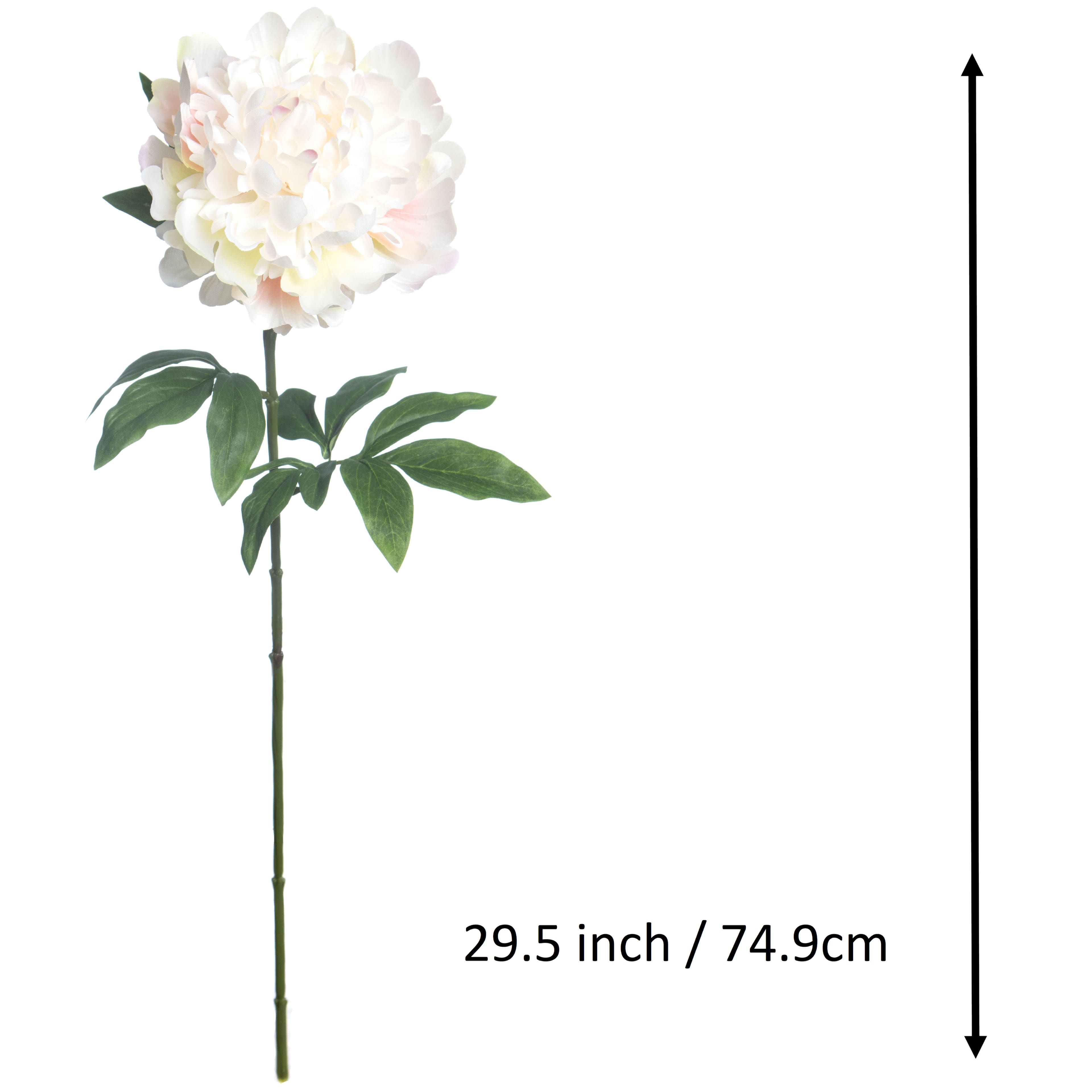 29.5&#x22; Cream &#x26; Pink Peony Stem by Ashland&#xAE;