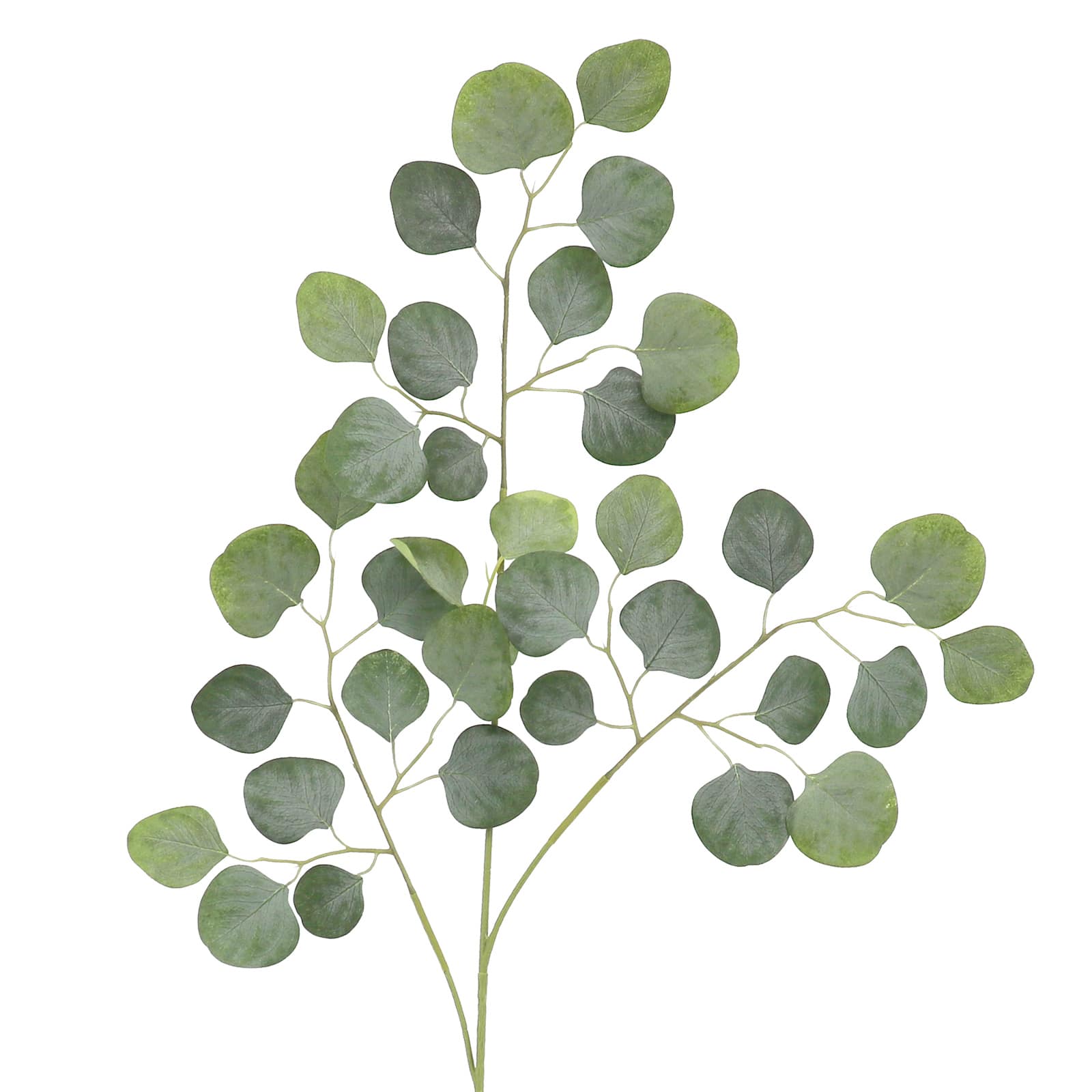 35.5&#x22; Light Green Round Eucalyptus Stem by Ashland&#xAE;